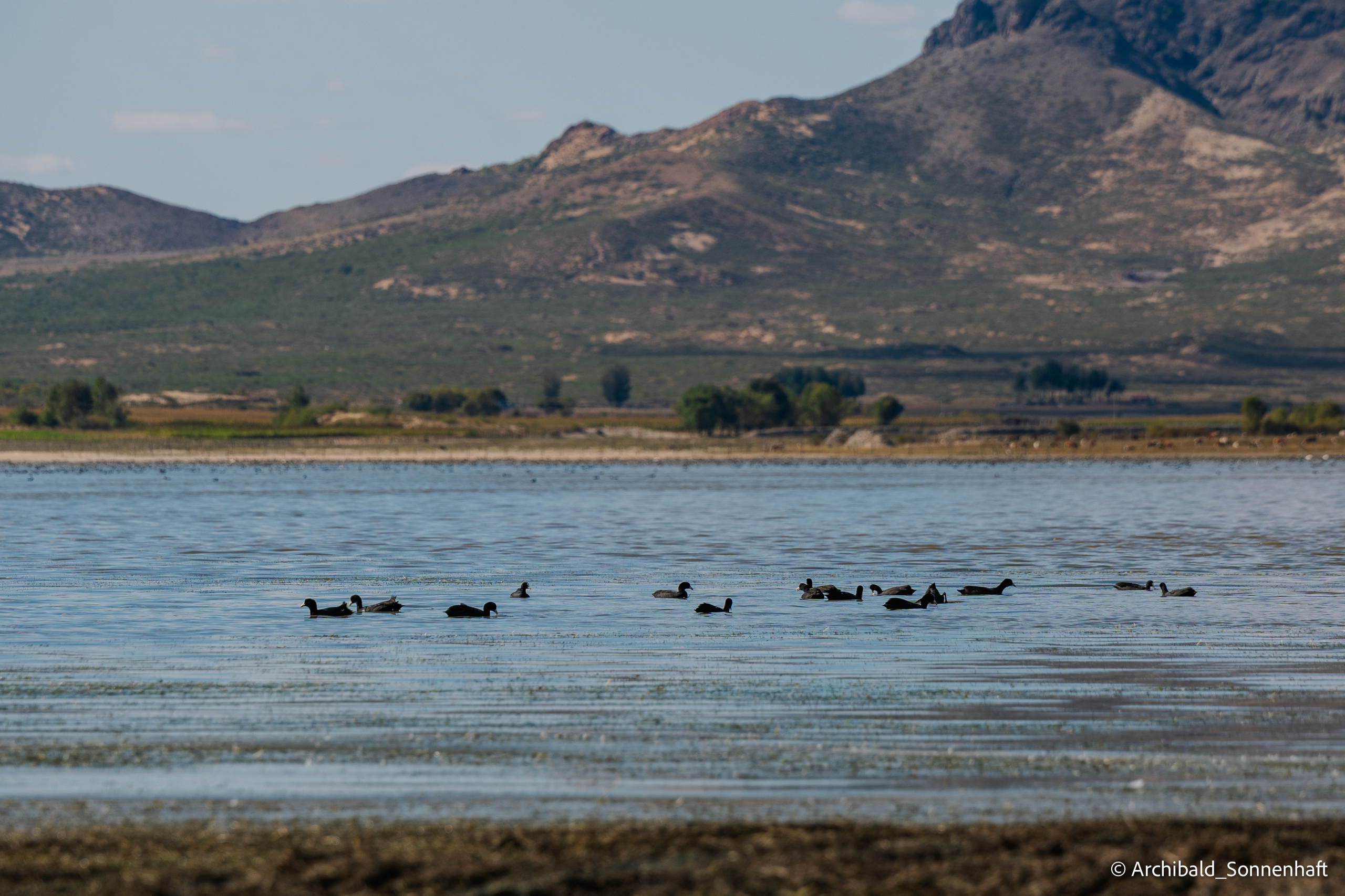 Inner Mongolia, Yulongsha. Photographer in Guangzhou, China. Archibald Sonnenhaft