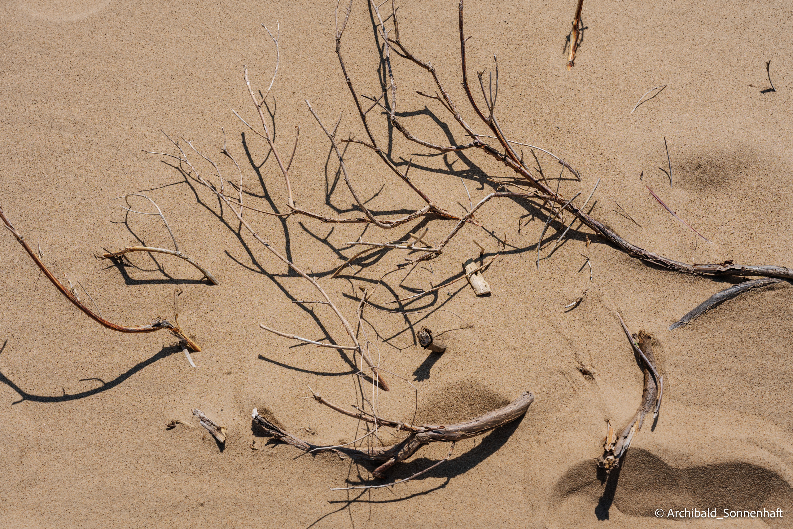 Inner Mongolia, Yulongsha. Photographer in Guangzhou, China. Archibald Sonnenhaft