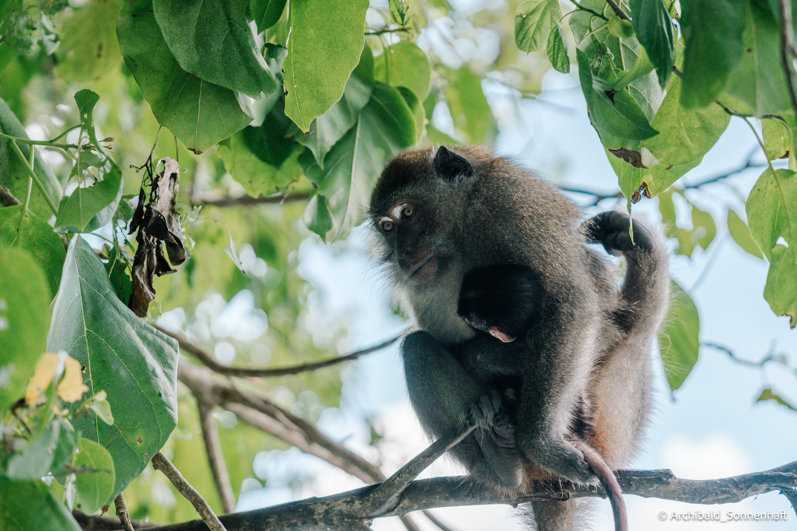 Thai, Phiphi. Photographer in Guangzhou, China. Archibald Sonnenhaft