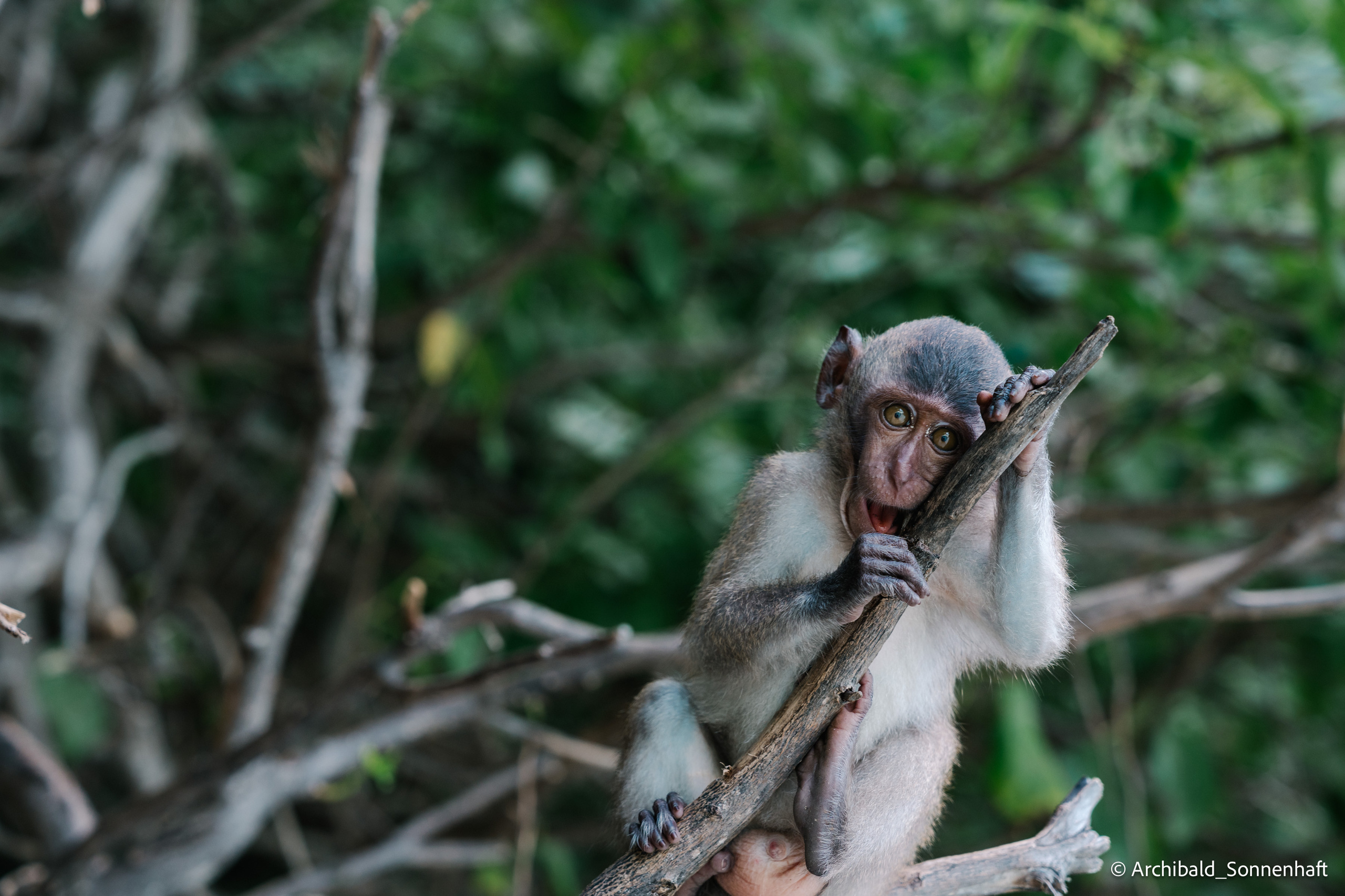 Thai, Phiphi. Photographer in Guangzhou, China. Archibald Sonnenhaft