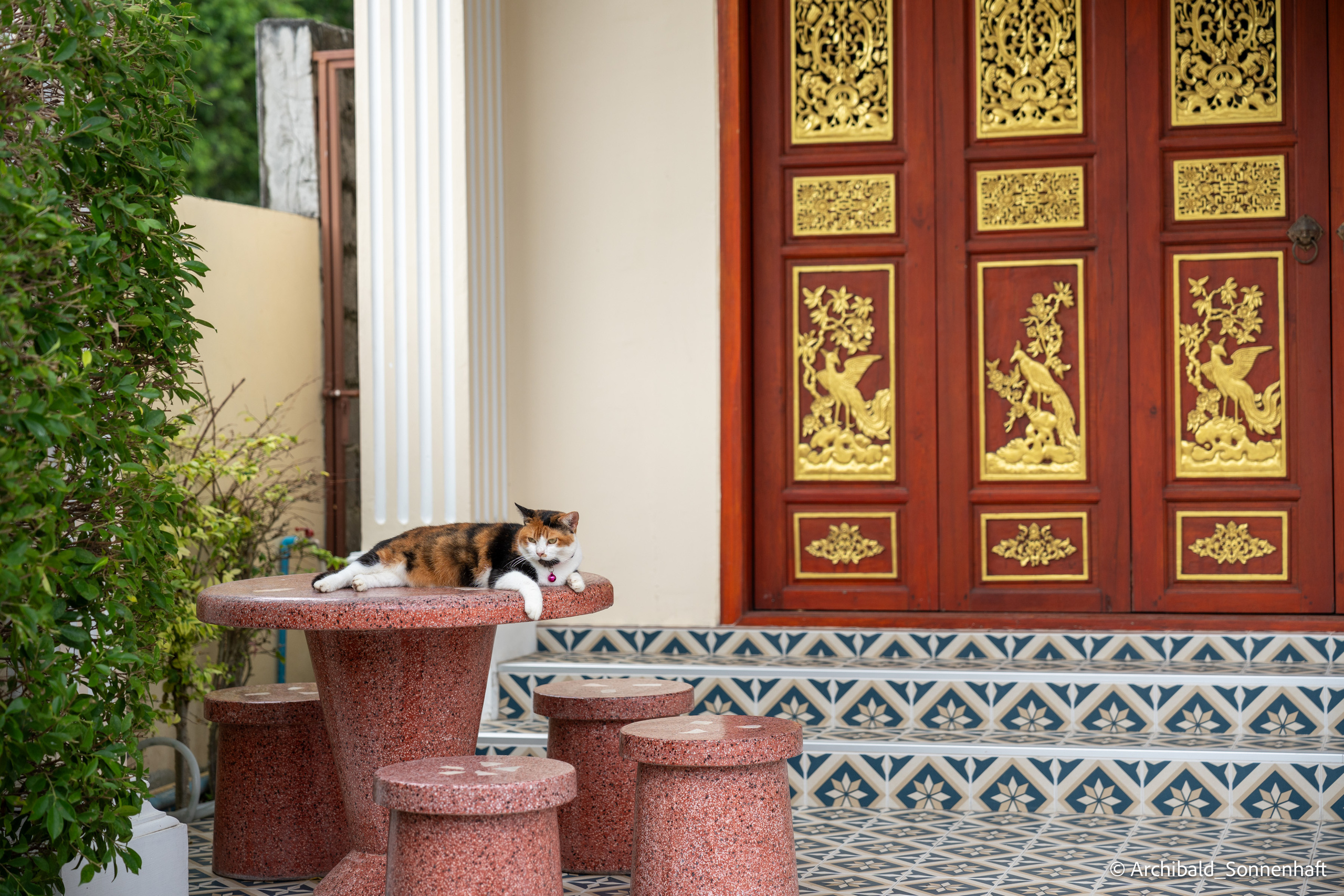 Thai Phuket to Phiphi. Photographer in Guangzhou, China. Archibald Sonnenhaft