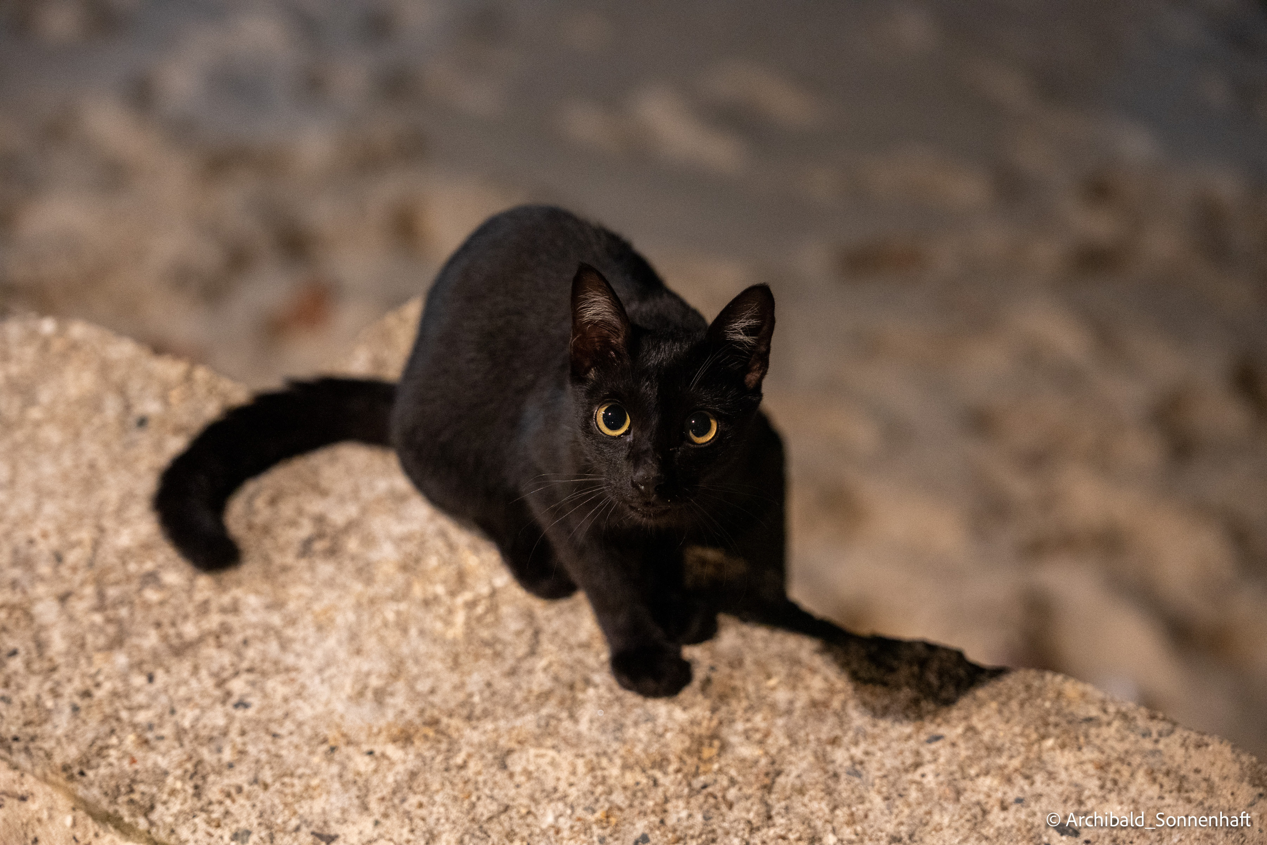 Thai Phuket to Phiphi. Photographer in Guangzhou, China. Archibald Sonnenhaft