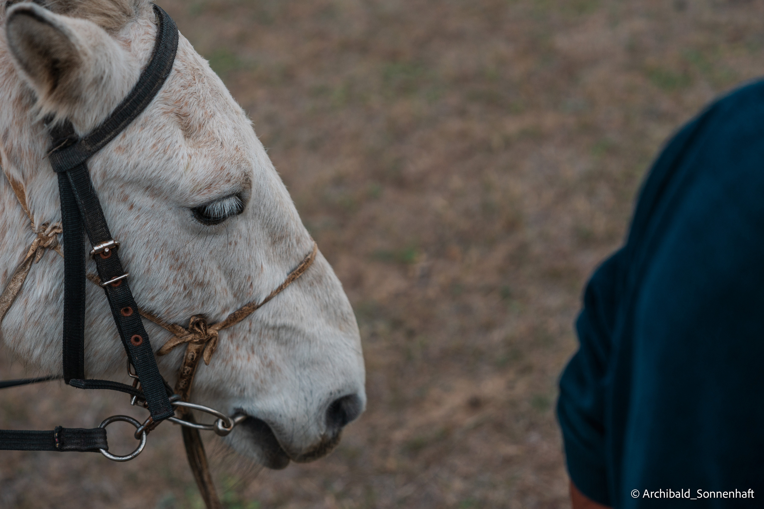 Inner Mongolia. Photographer in Guangzhou, China. Archibald Sonnenhaft