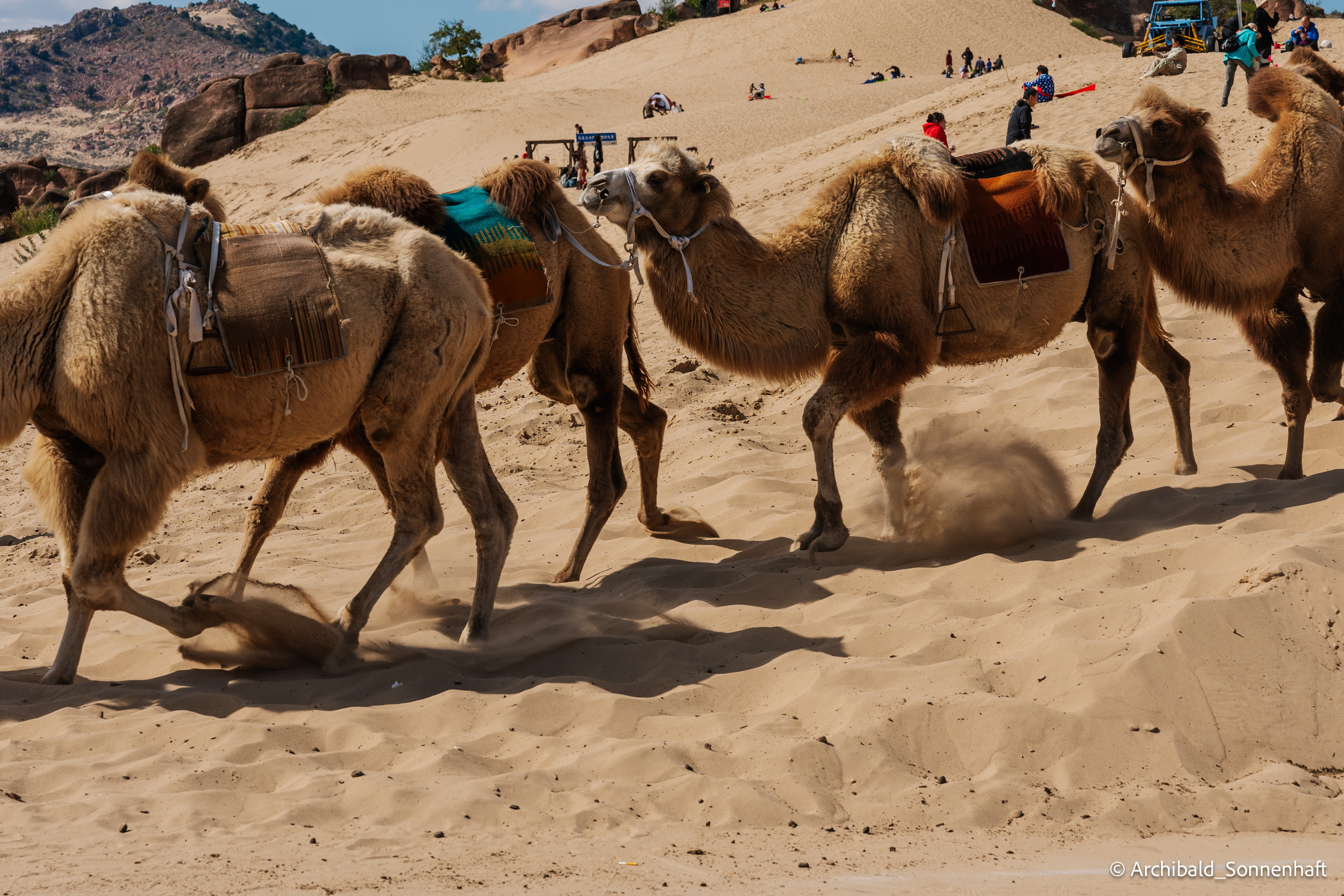 Inner Mongolia, Yulongsha. Photographer in Guangzhou, China. Archibald Sonnenhaft