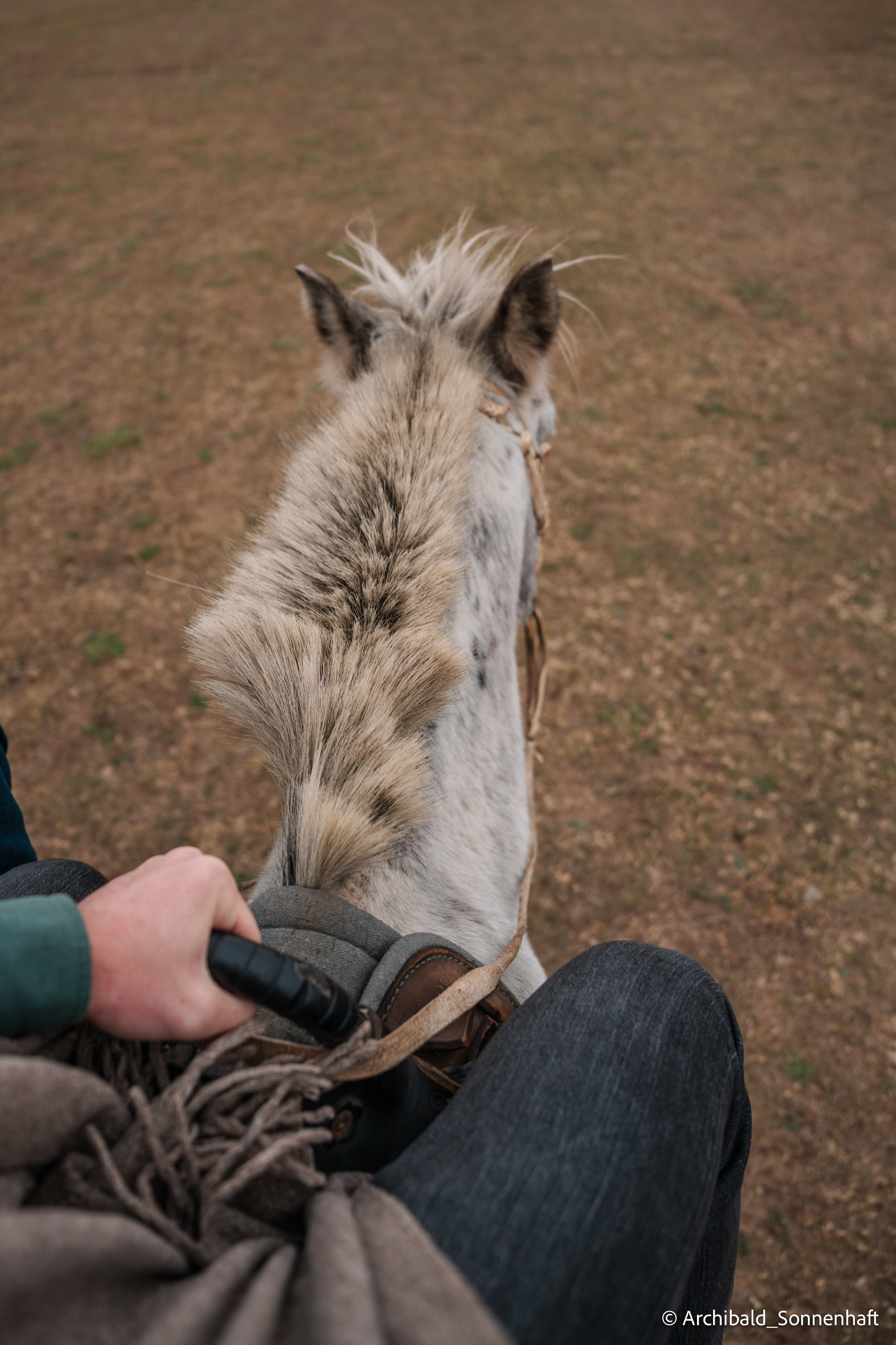 Inner Mongolia. Photographer in Guangzhou, China. Archibald Sonnenhaft