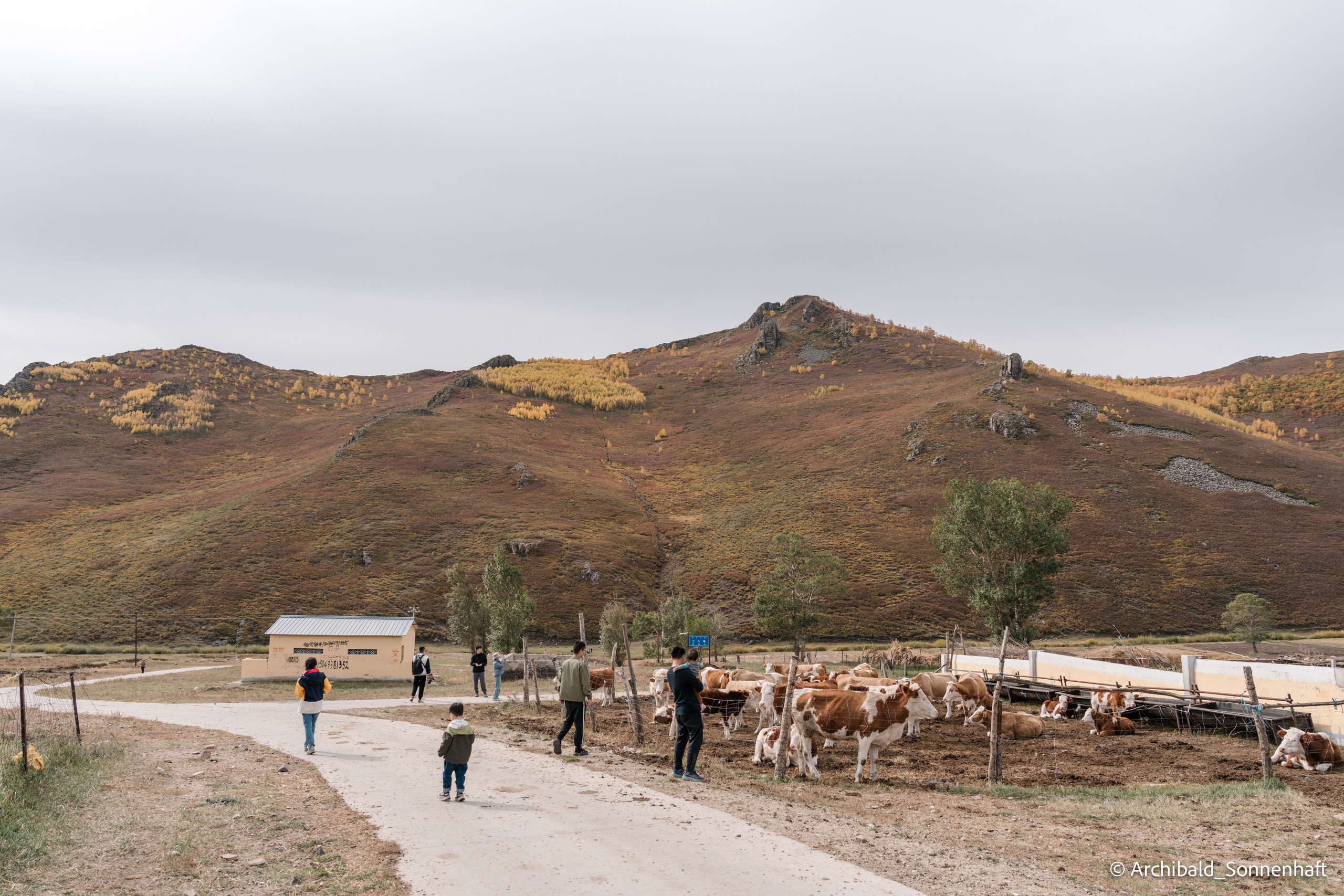 Inner Mongolia. Photographer in Guangzhou, China. Archibald Sonnenhaft