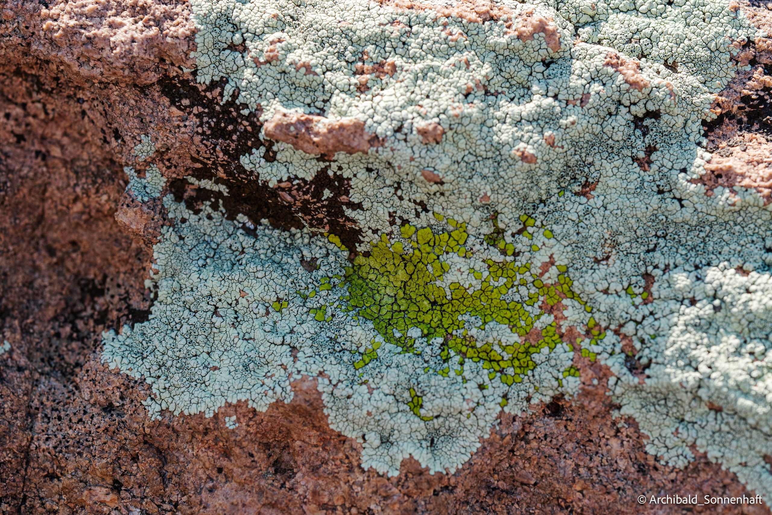 Inner Mongolia, Yulongsha. Photographer in Guangzhou, China. Archibald Sonnenhaft
