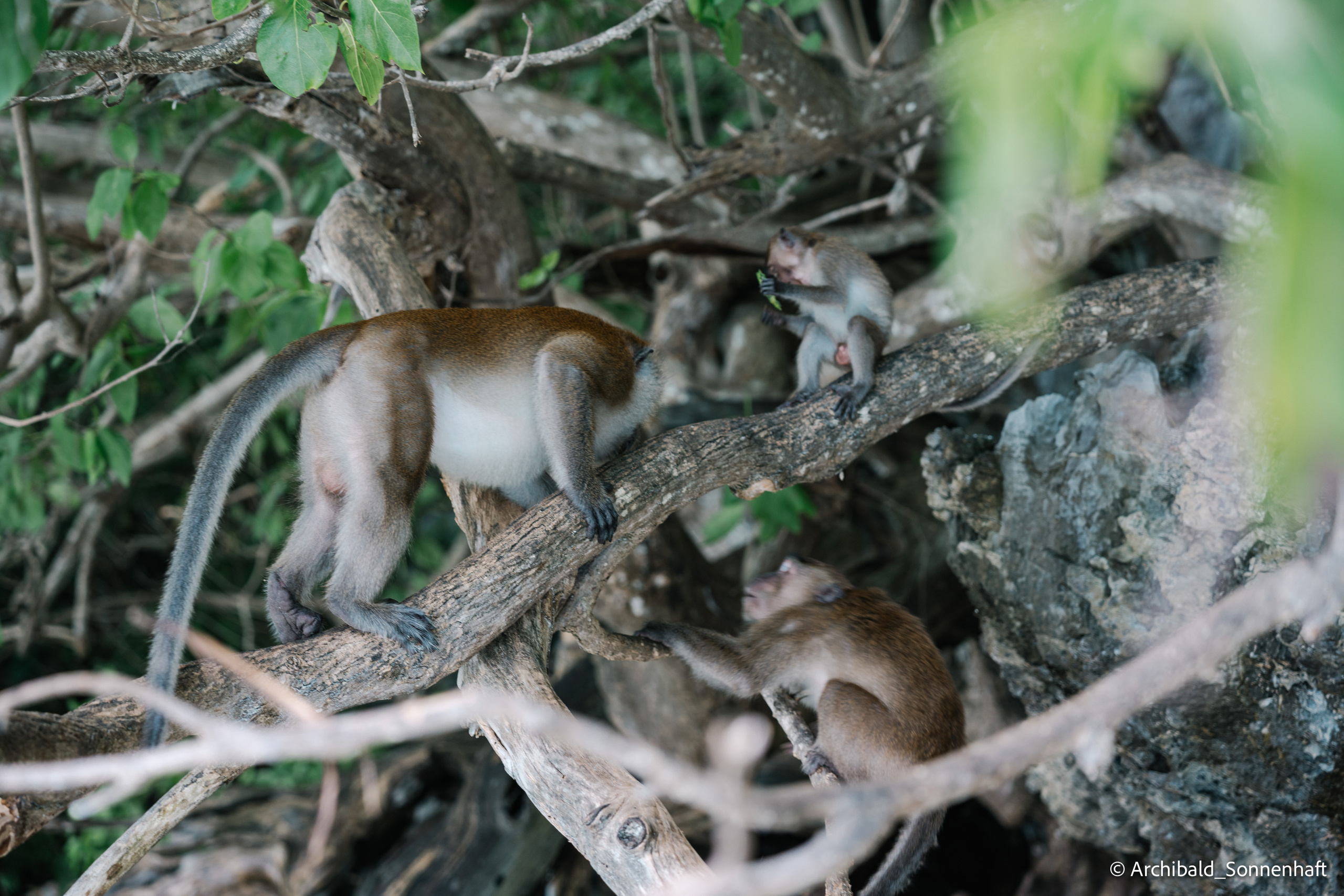 Thai, Phiphi. Photographer in Guangzhou, China. Archibald Sonnenhaft
