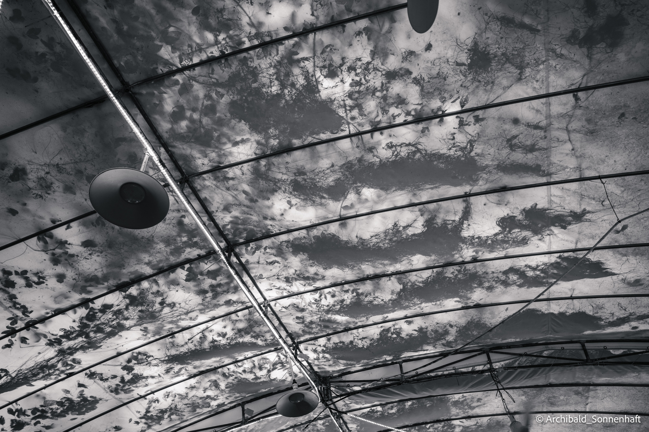 Dongchong. Photographer in Guangzhou, China. Archibald Sonnenhaft