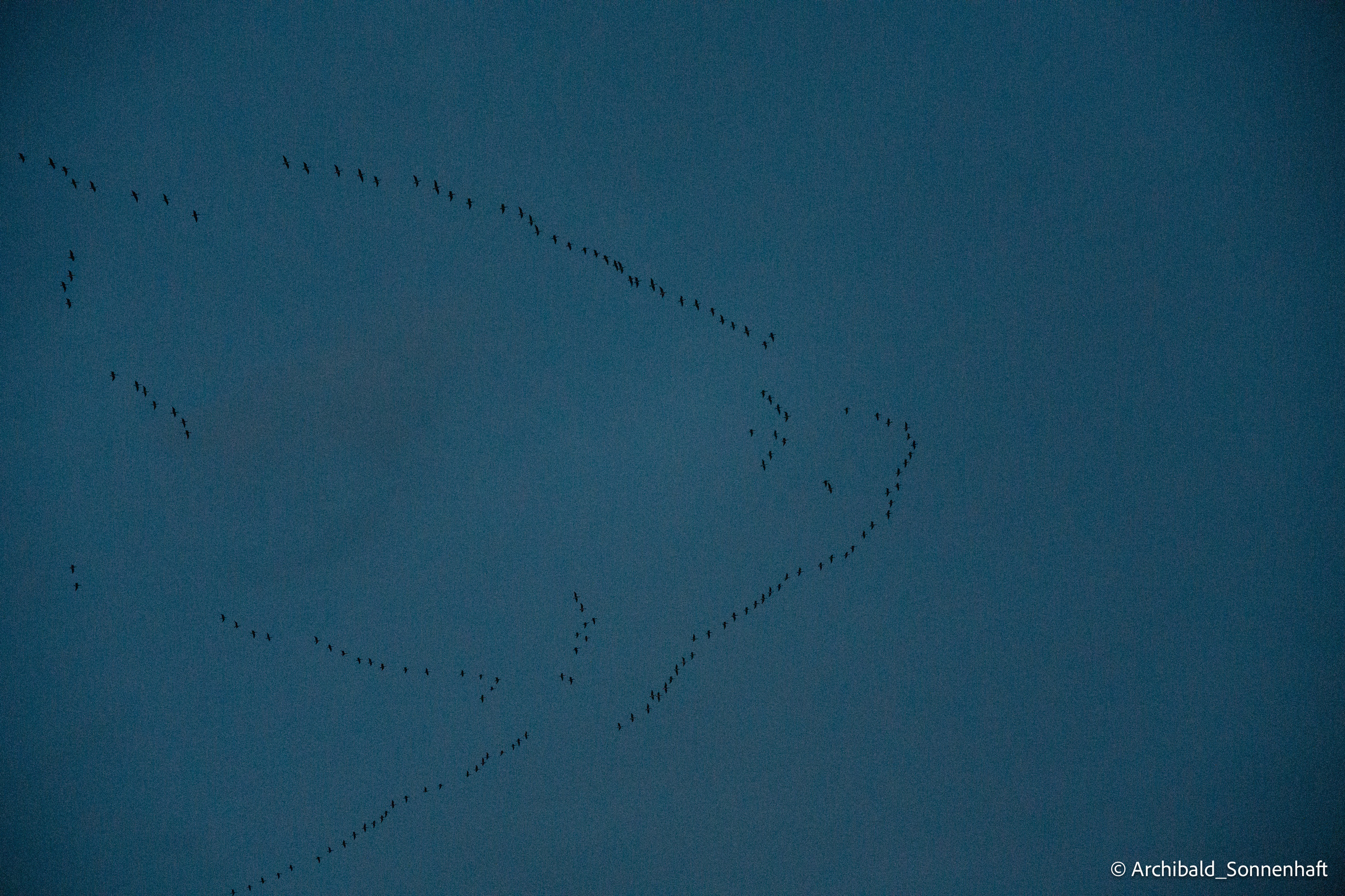 Inner Mongolia. Photographer in Guangzhou, China. Archibald Sonnenhaft
