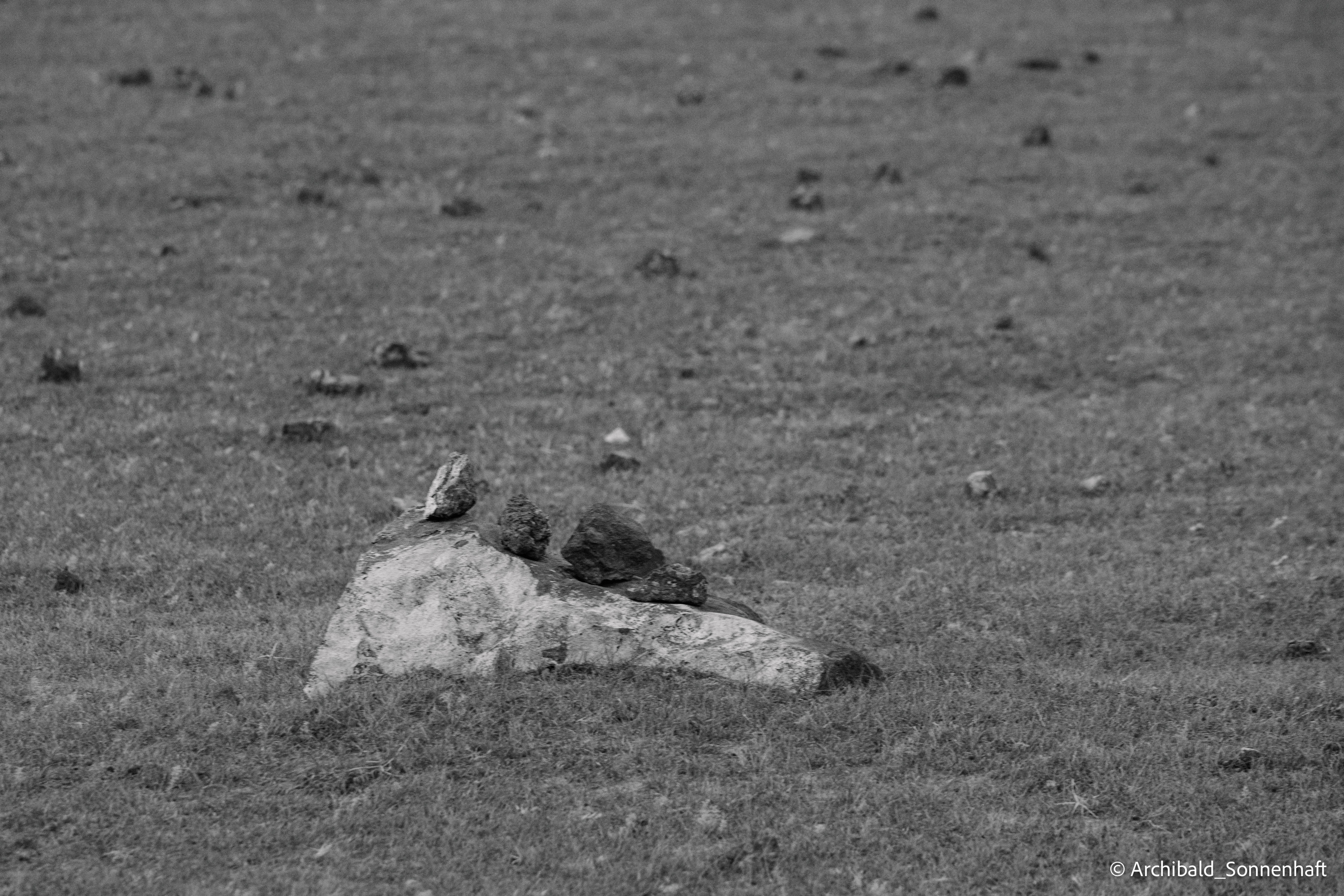 Inner Mongolia. Photographer in Guangzhou, China. Archibald Sonnenhaft