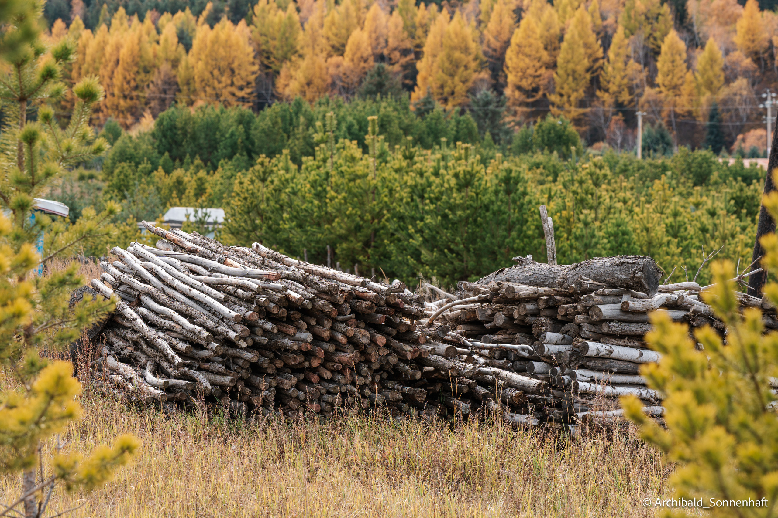 Inner Mongolia. Photographer in Guangzhou, China. Archibald Sonnenhaft
