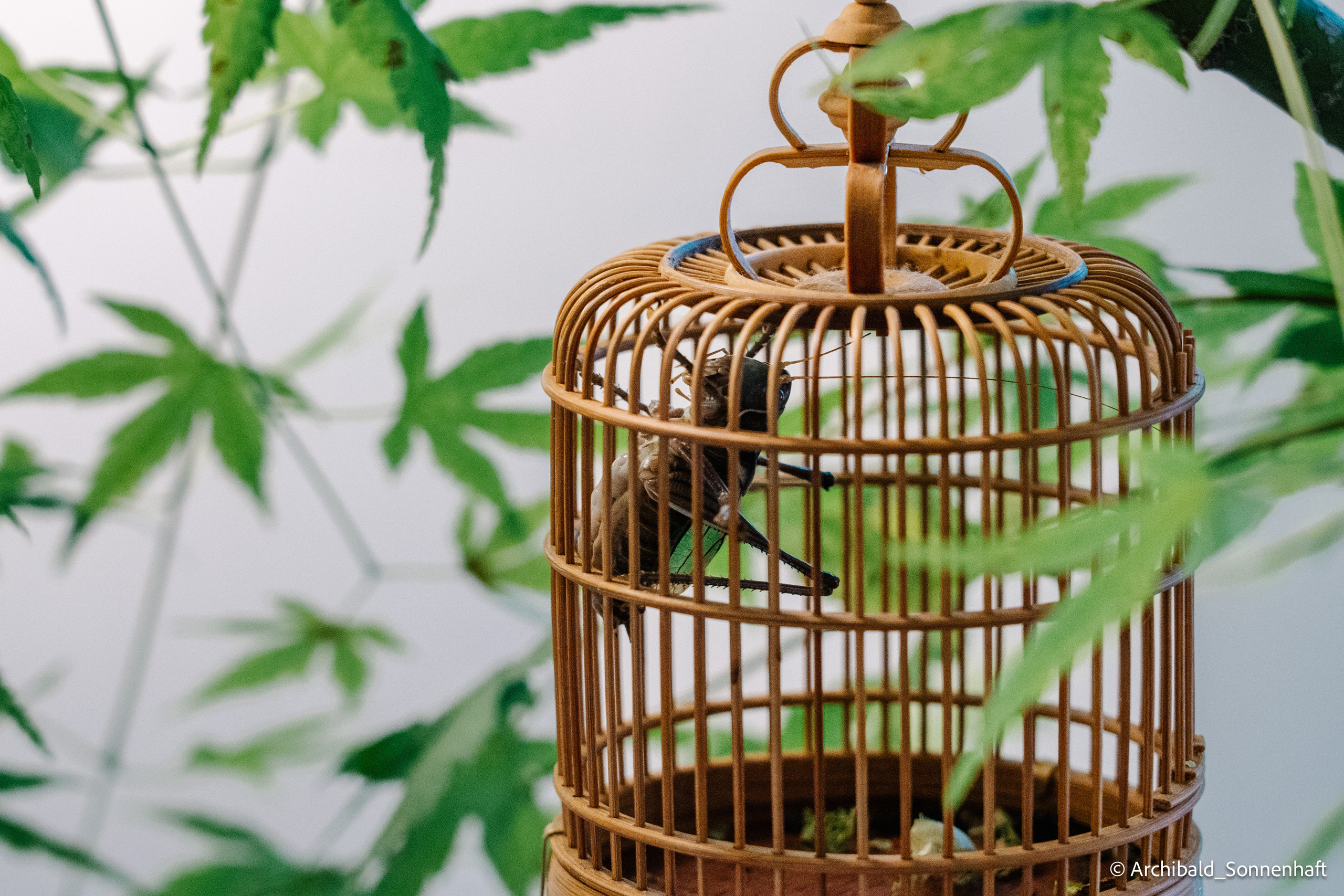 Tur de Tianjin. Photographer in Guangzhou, China. Archibald Sonnenhaft