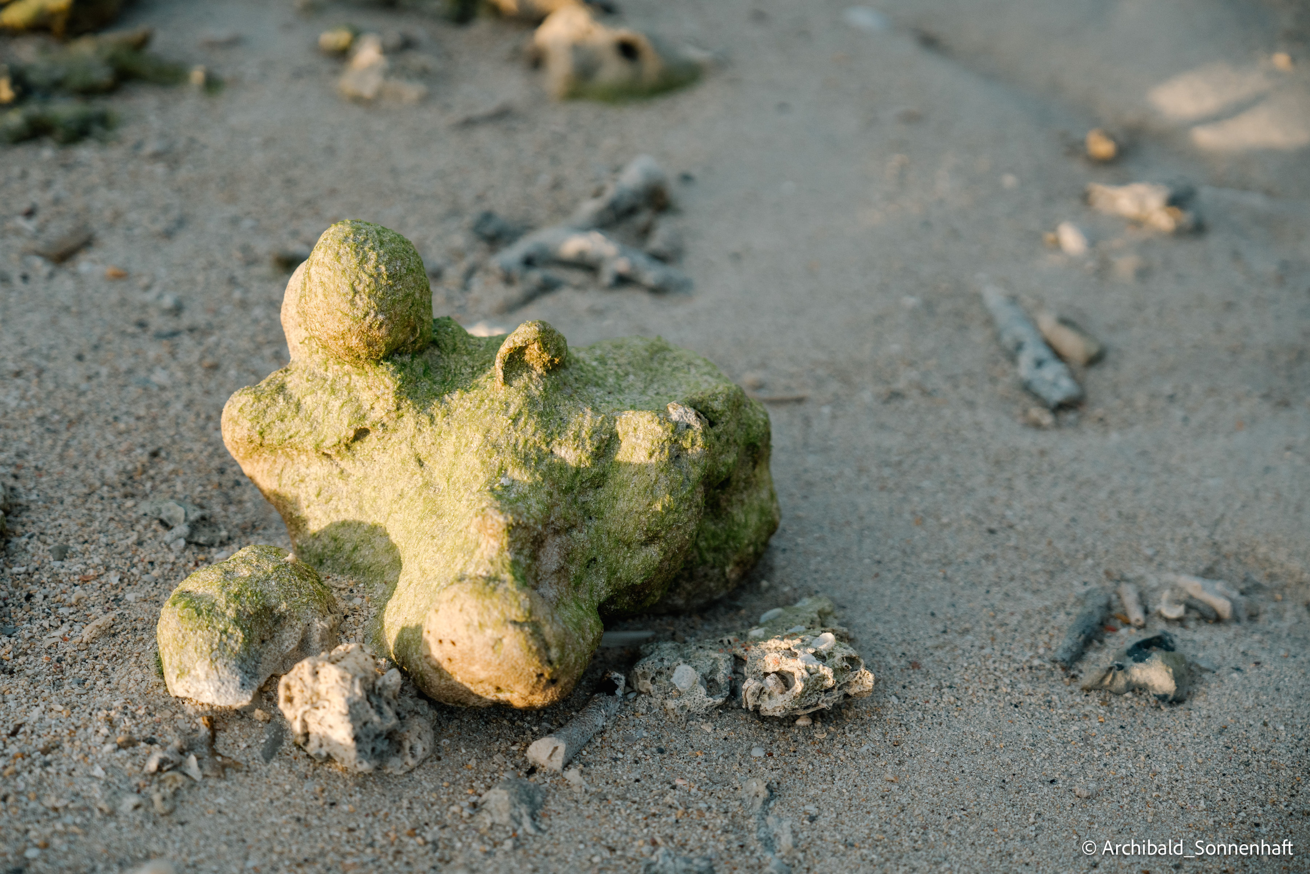 Thai, Phiphi. Photographer in Guangzhou, China. Archibald Sonnenhaft
