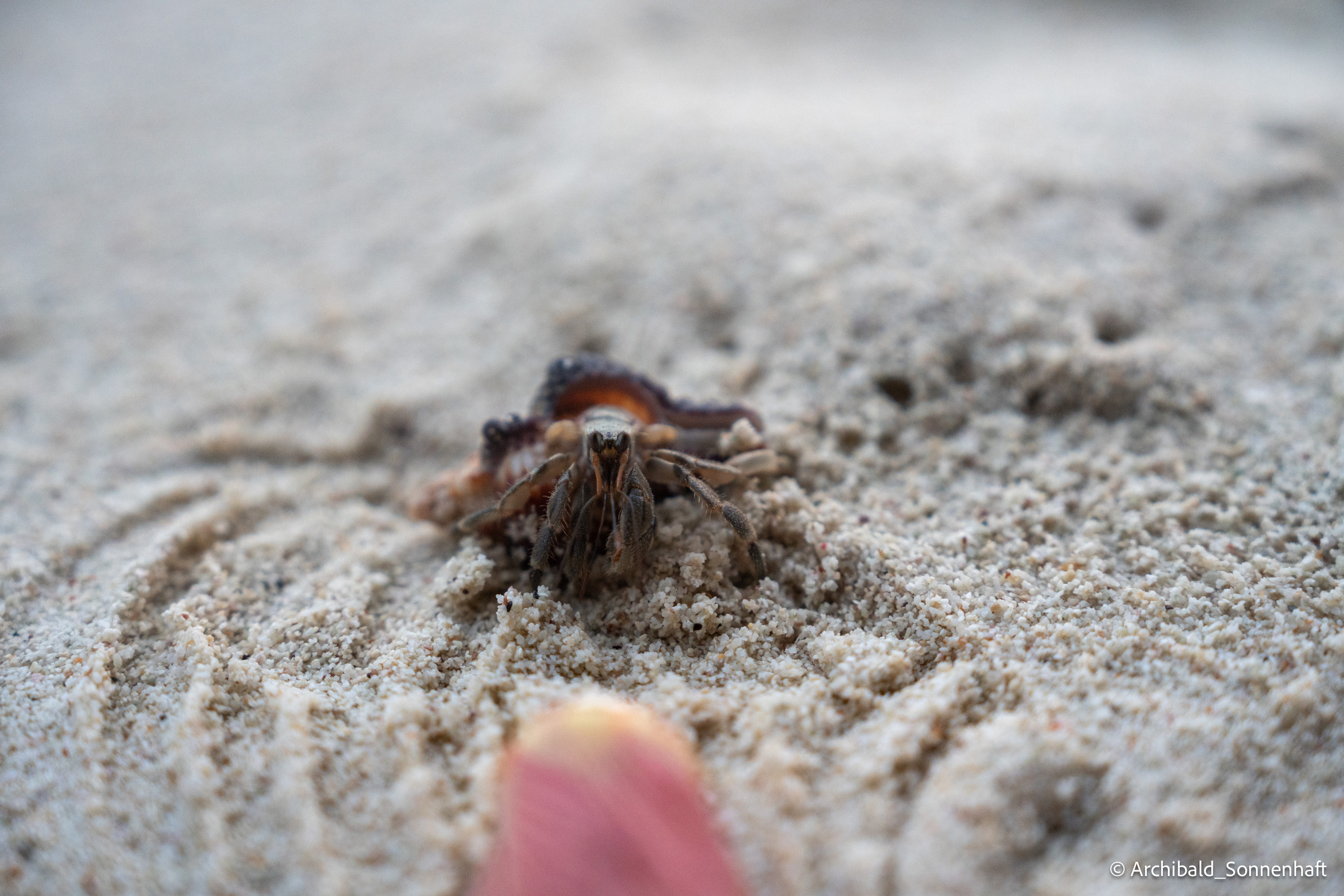 Thai Phuket to Phiphi. Photographer in Guangzhou, China. Archibald Sonnenhaft