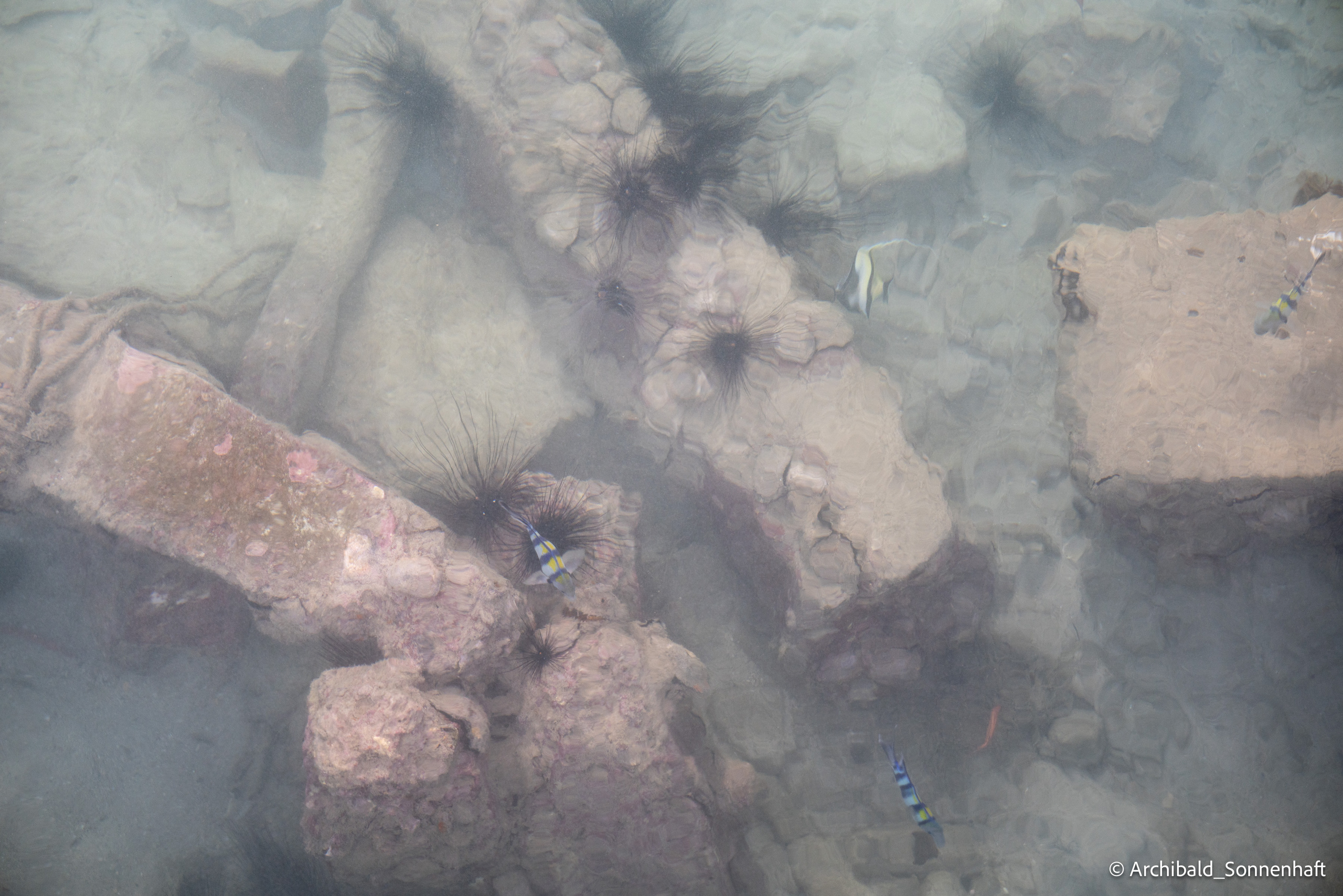 Thai Phuket to Phiphi. Photographer in Guangzhou, China. Archibald Sonnenhaft