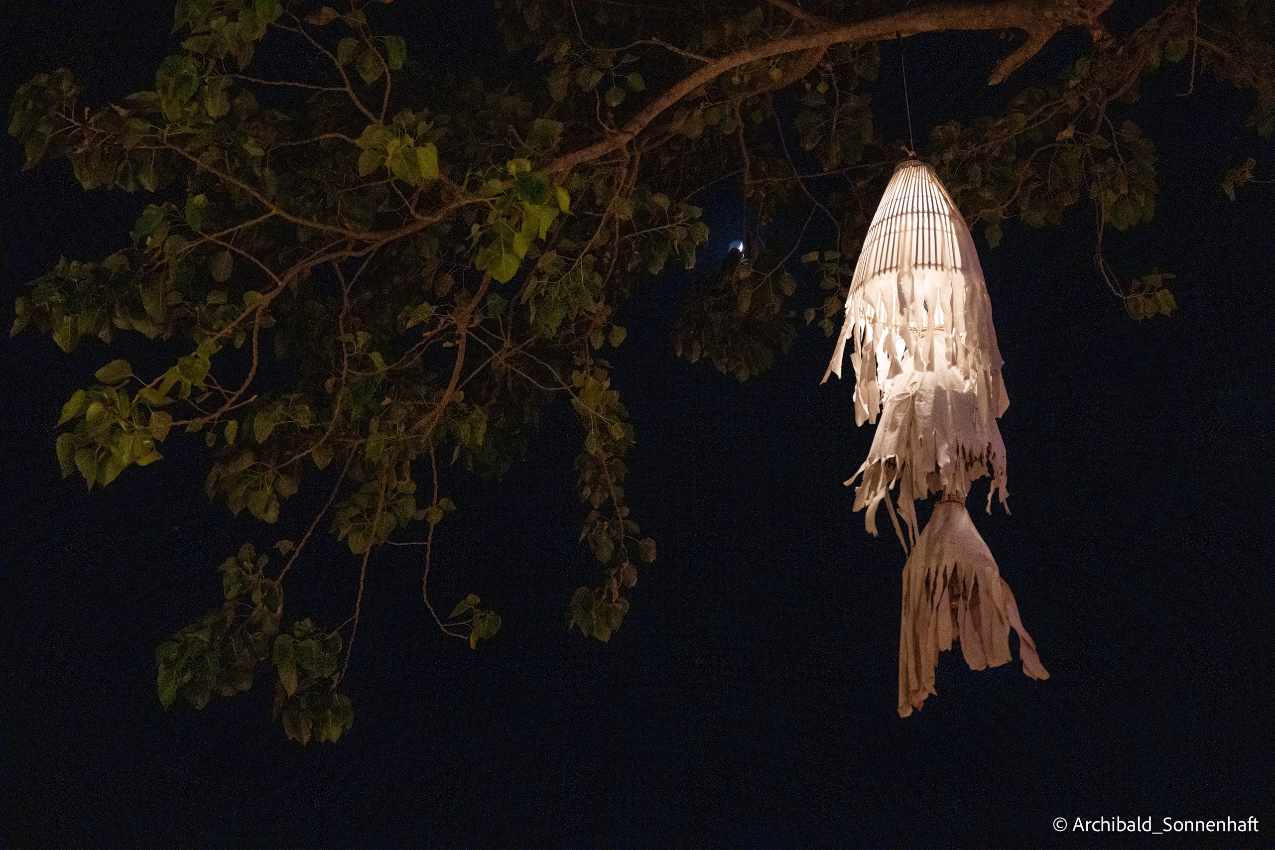 Thai, Phiphi. Photographer in Guangzhou, China. Archibald Sonnenhaft