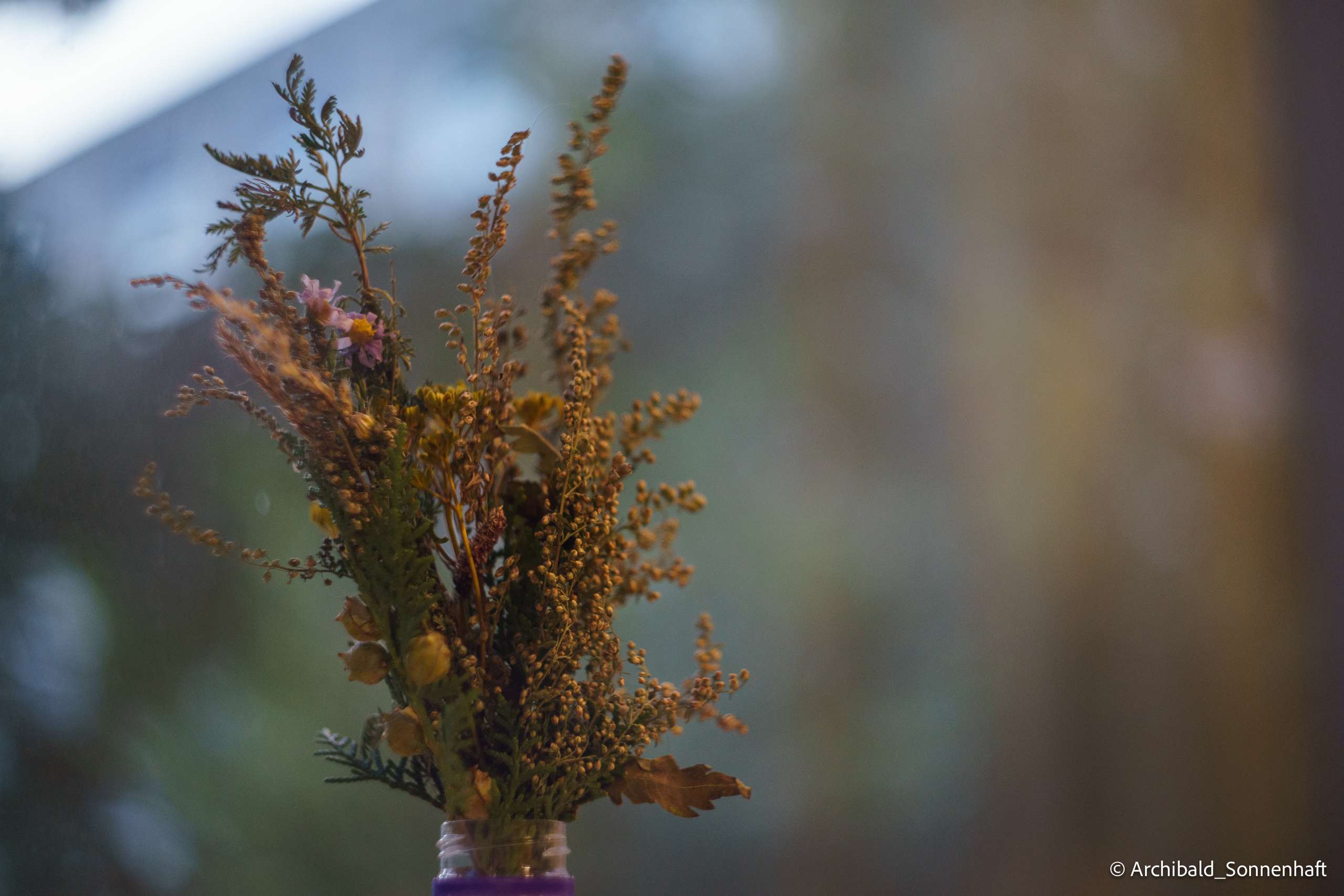 🇨🇳 长城, 北京 (Chinese wall, Beijing), 2019.10. Photographer in Guangzhou, China. Archibald Sonnenhaft