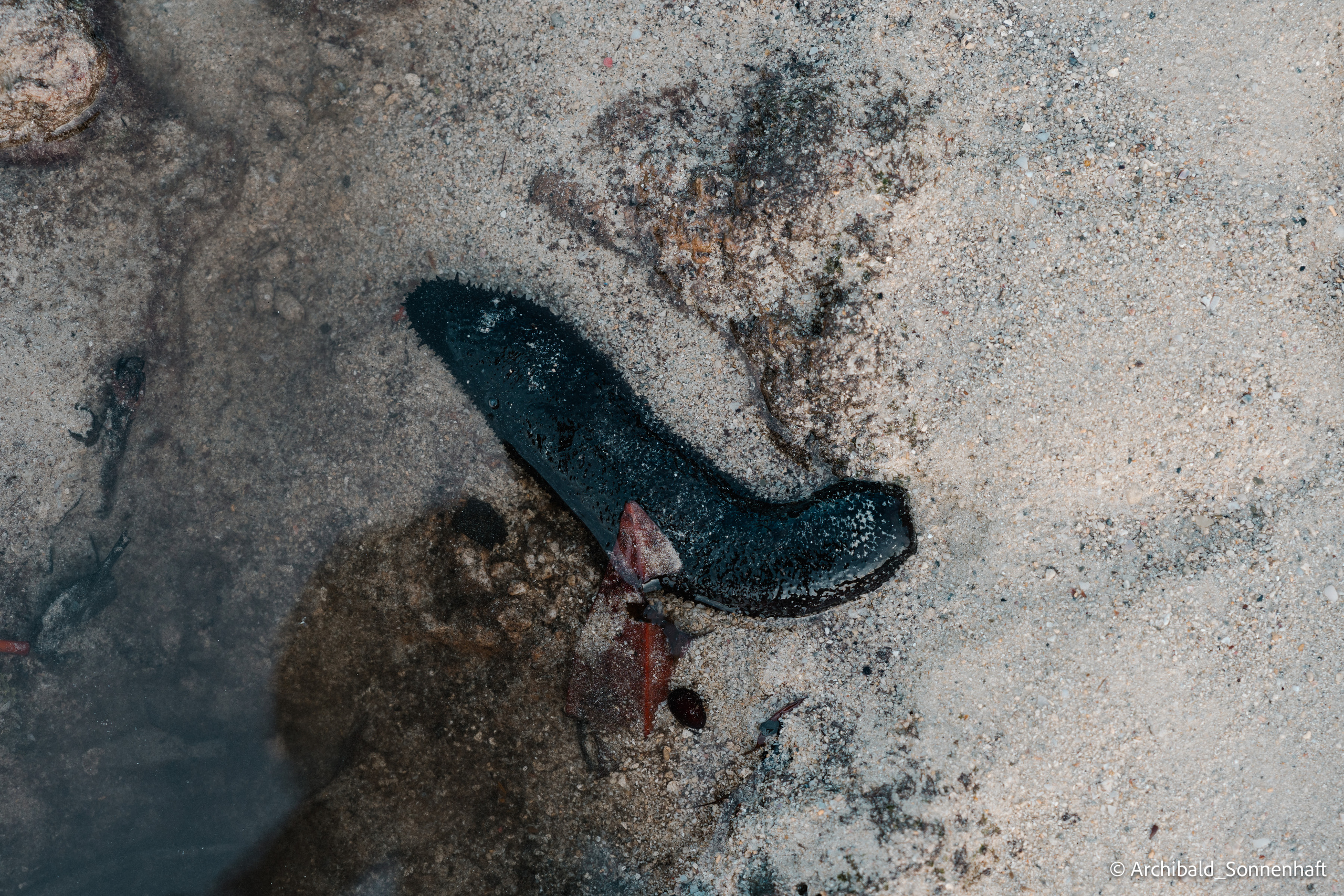 Thai, Phiphi. Photographer in Guangzhou, China. Archibald Sonnenhaft