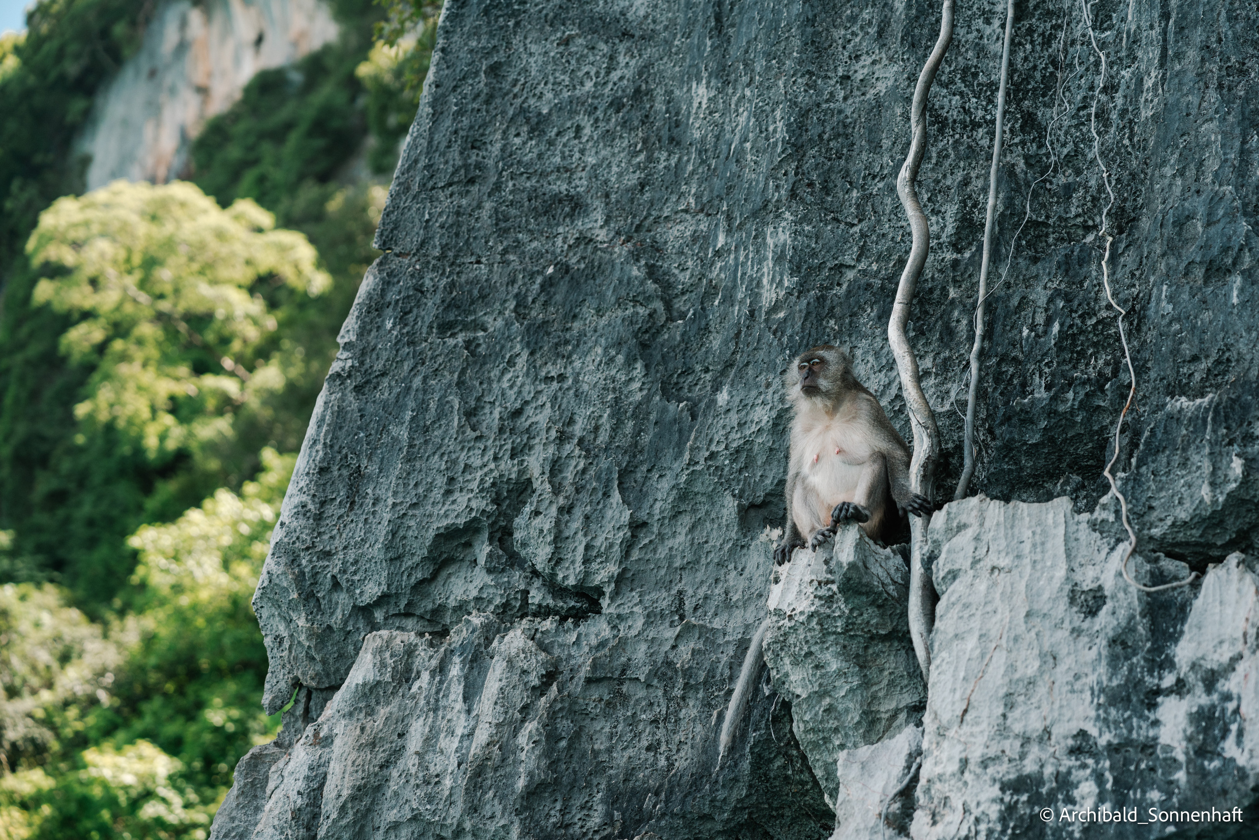 Thai, Phiphi. Photographer in Guangzhou, China. Archibald Sonnenhaft