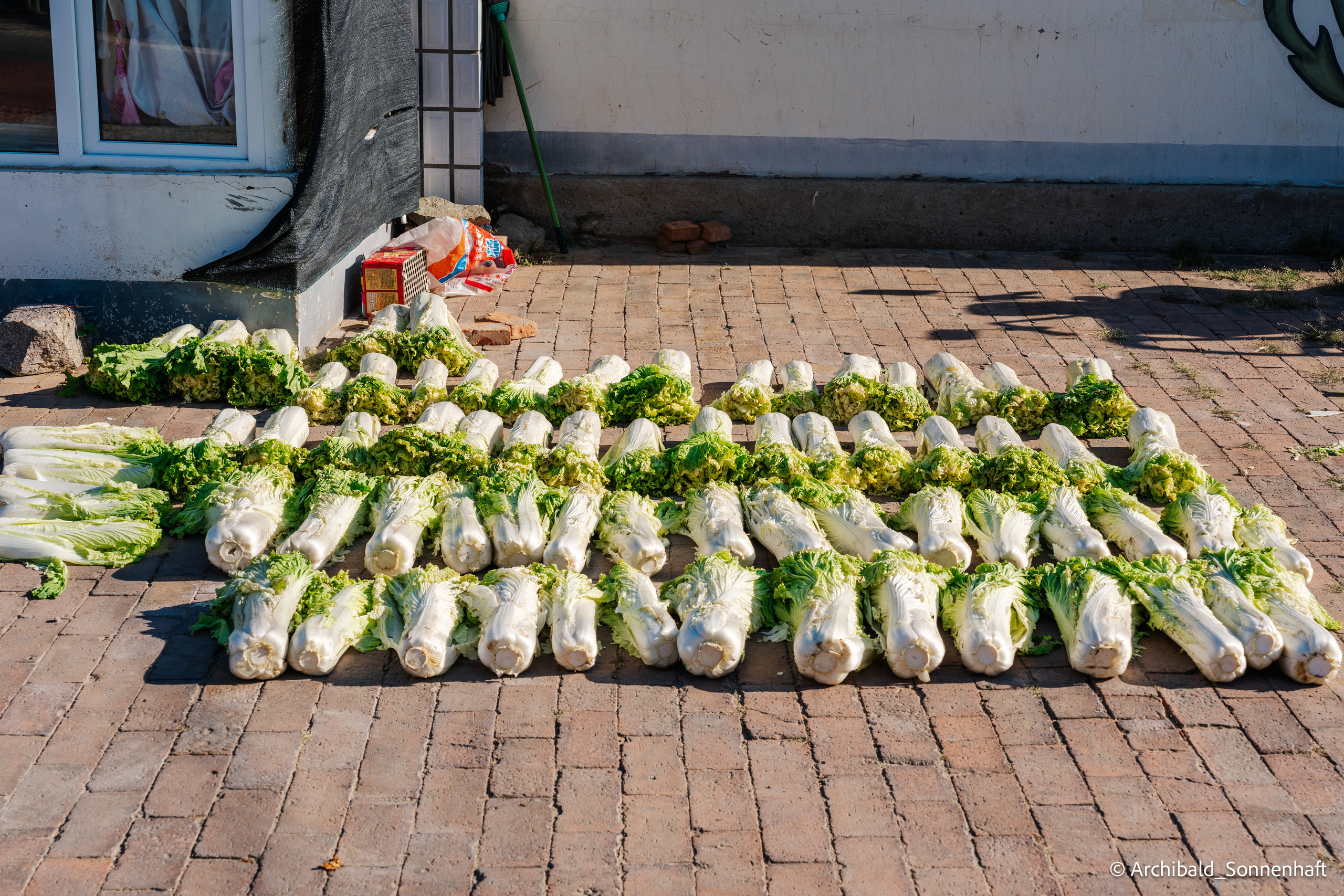 Inner Mongolia, Yulongsha. Photographer in Guangzhou, China. Archibald Sonnenhaft