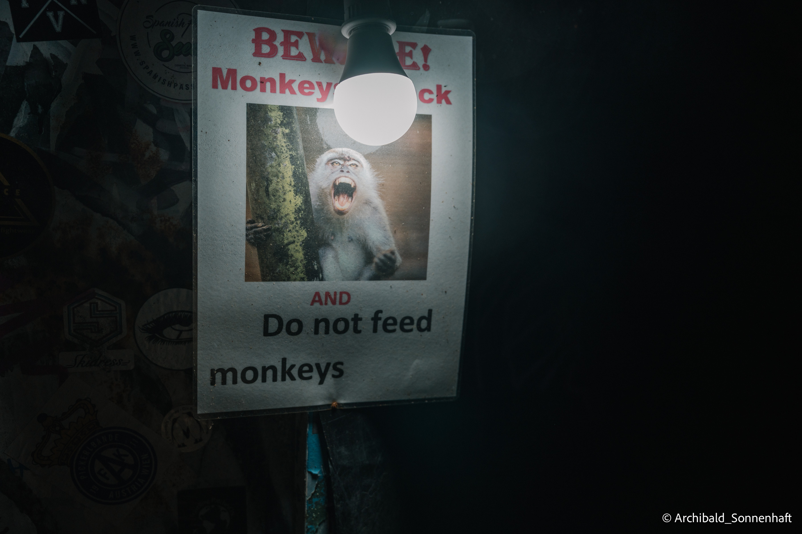 Thai, Phiphi. Photographer in Guangzhou, China. Archibald Sonnenhaft