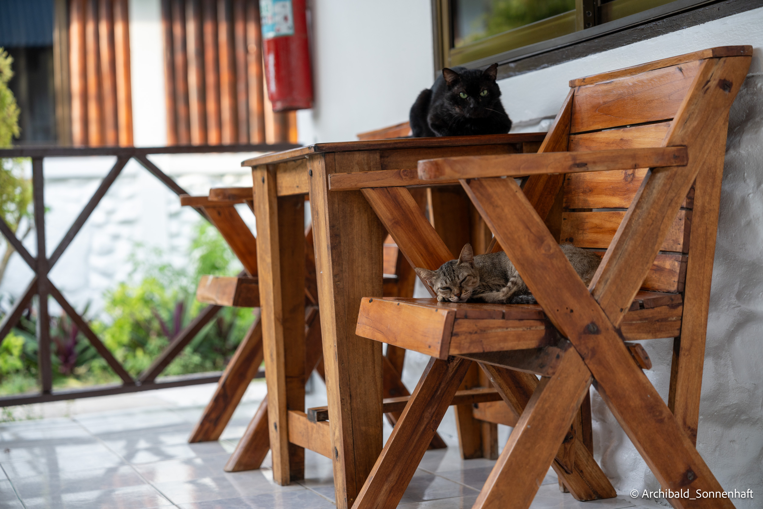 Thai Phuket to Phiphi. Photographer in Guangzhou, China. Archibald Sonnenhaft