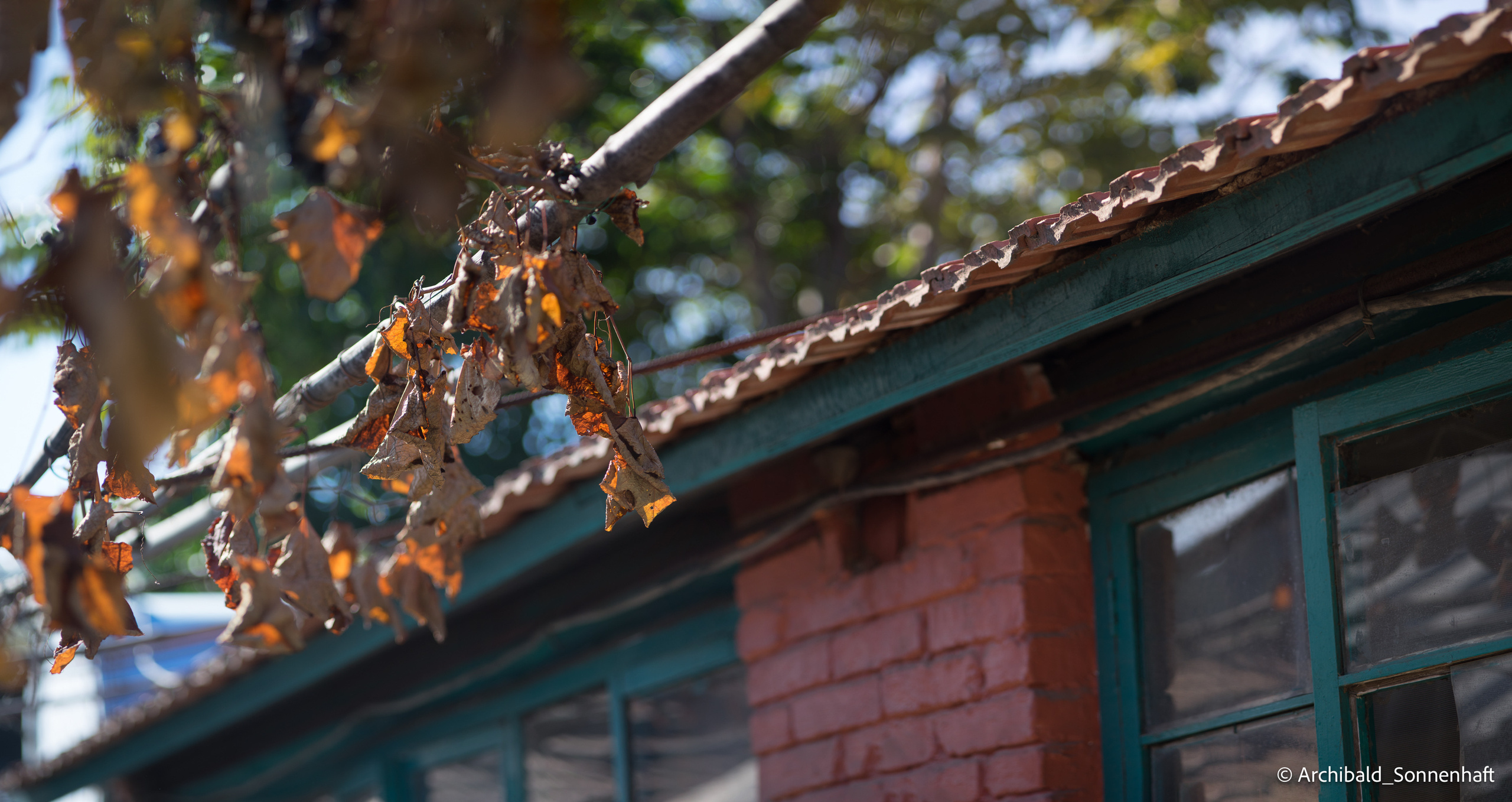 🇨🇳 长城, 北京 (Chinese wall, Beijing), 2019.10. Photographer in Guangzhou, China. Archibald Sonnenhaft