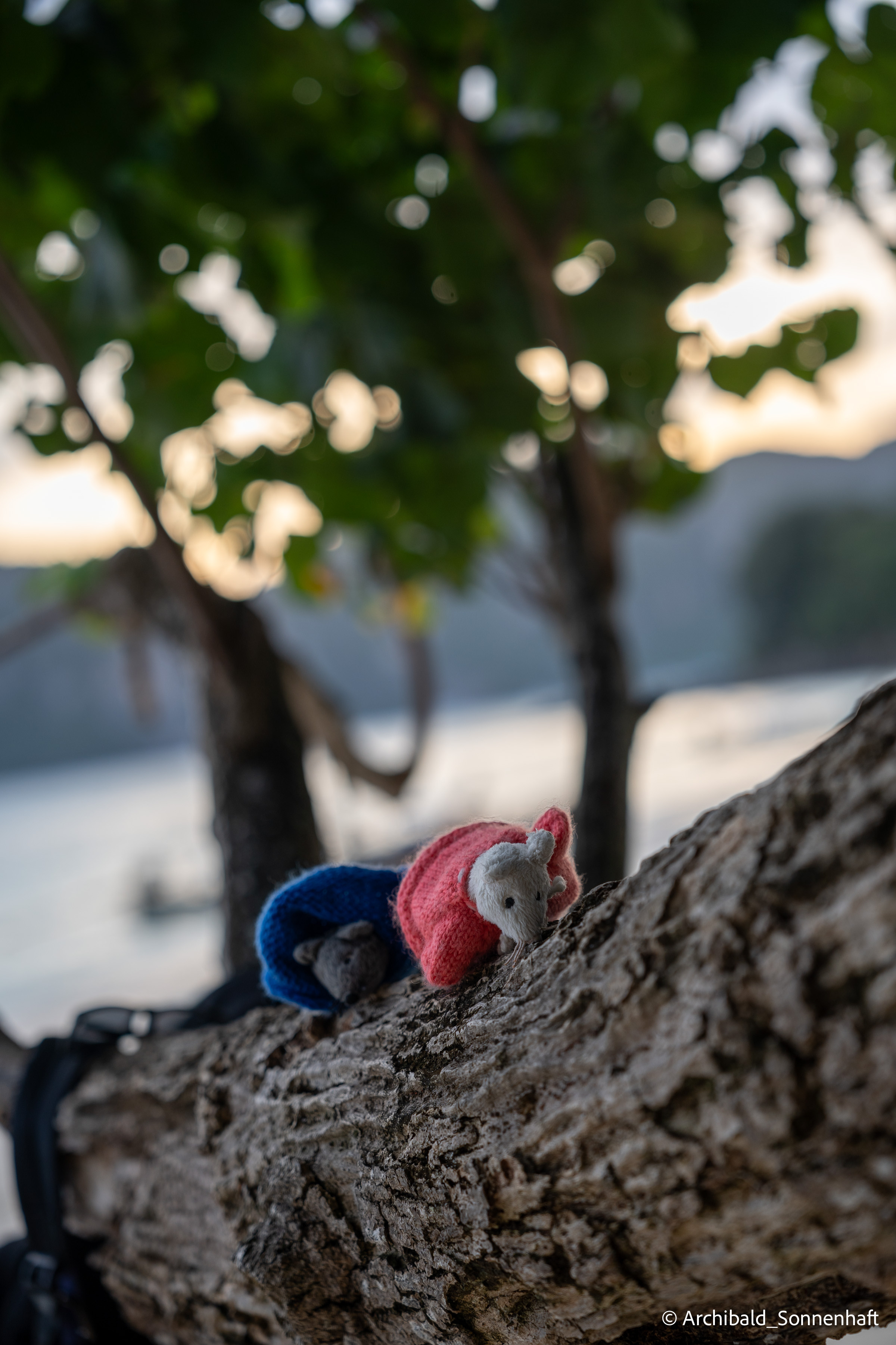 Thai Phuket to Phiphi. Photographer in Guangzhou, China. Archibald Sonnenhaft