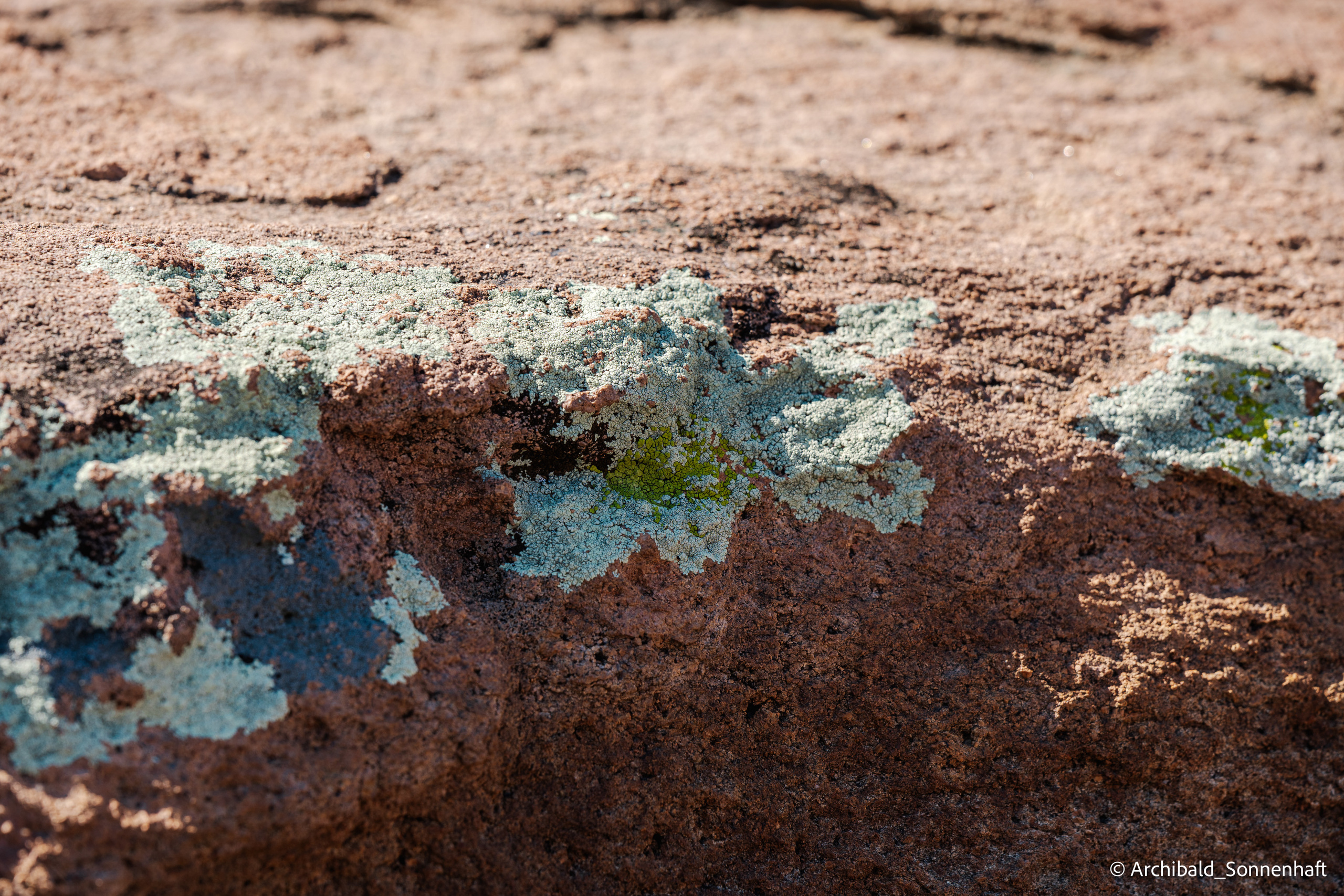 Inner Mongolia, Yulongsha. Photographer in Guangzhou, China. Archibald Sonnenhaft