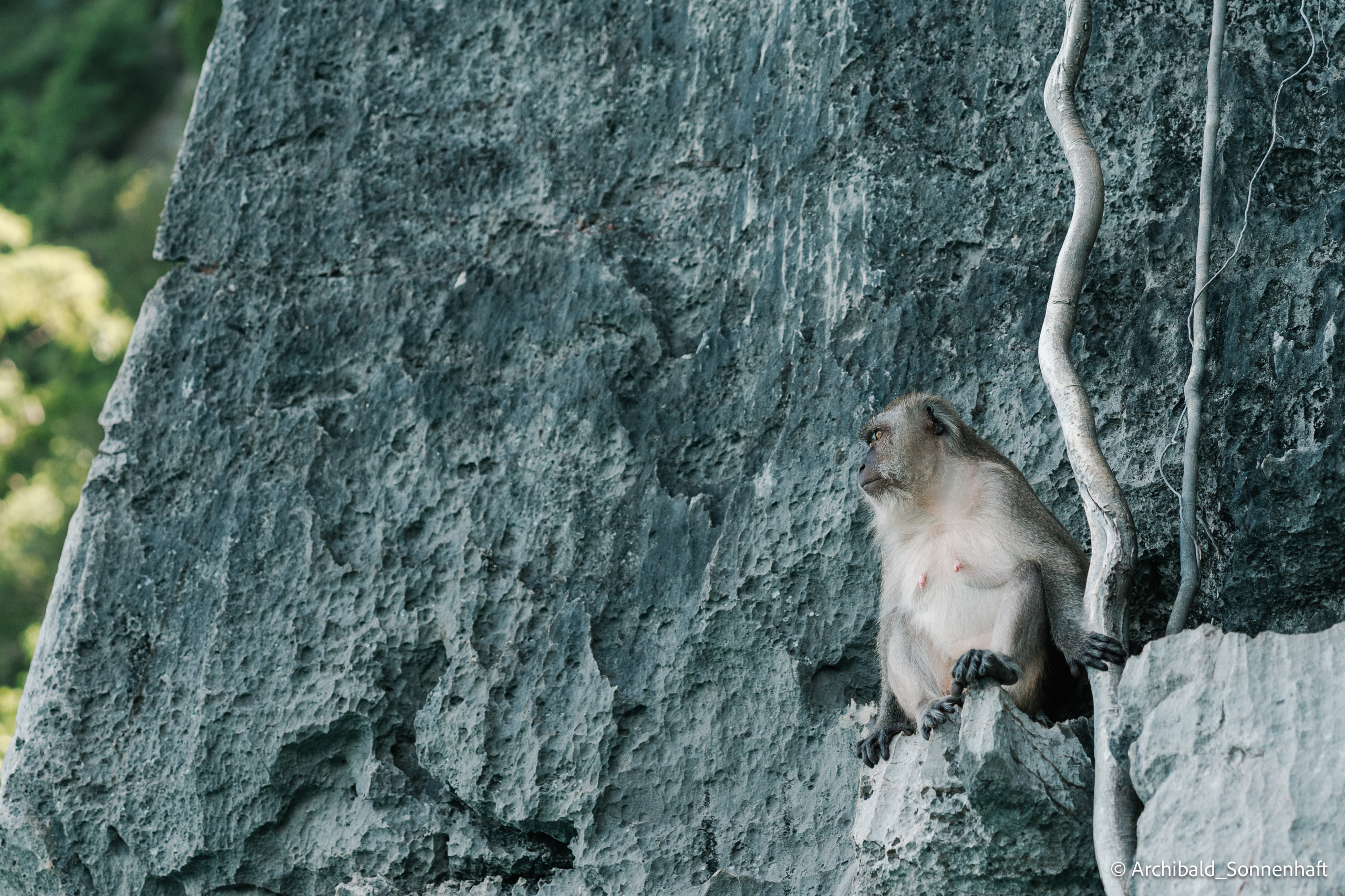 Thai, Phiphi. Photographer in Guangzhou, China. Archibald Sonnenhaft