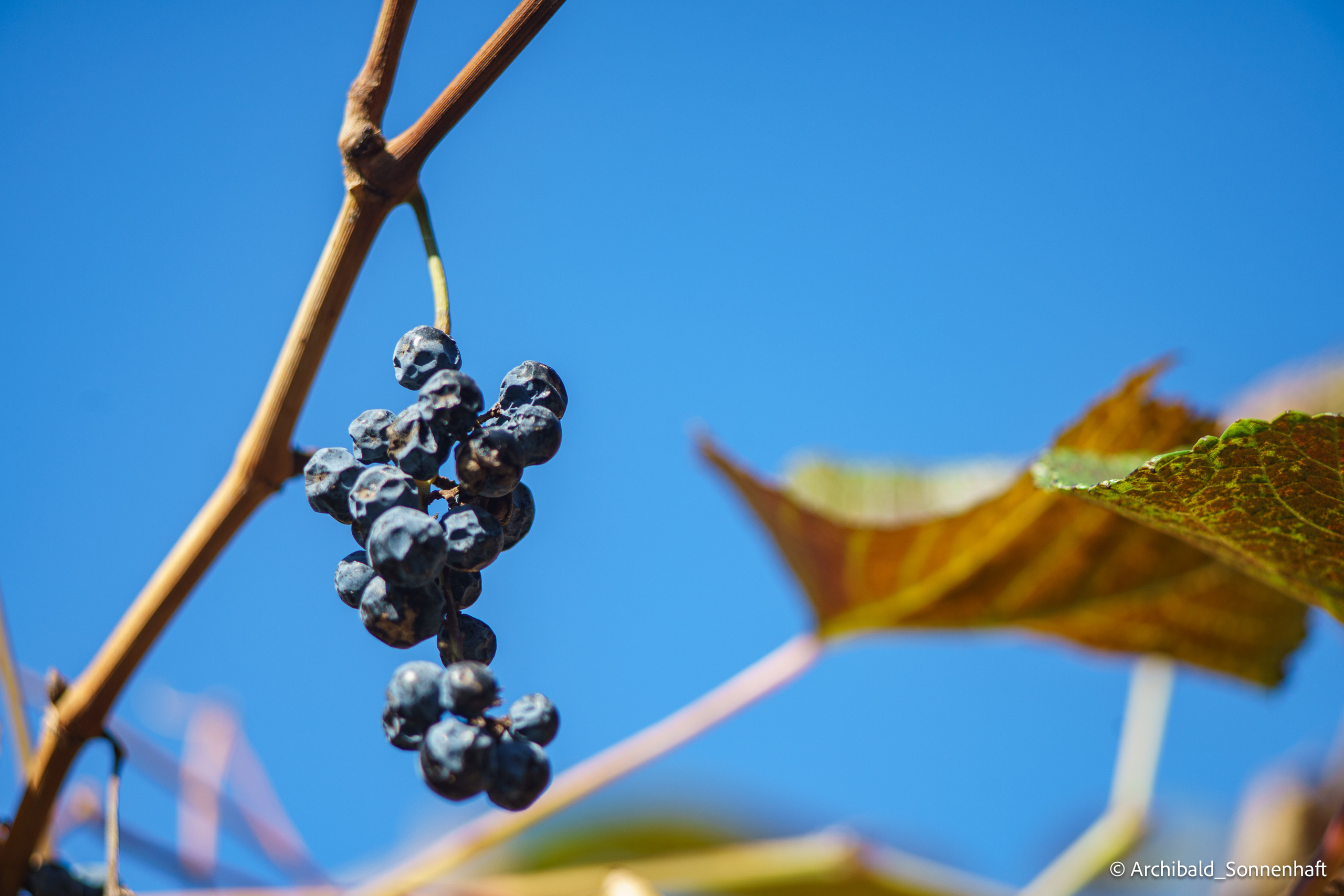 🇨🇳 长城, 北京 (Chinese wall, Beijing), 2019.10. Photographer in Guangzhou, China. Archibald Sonnenhaft