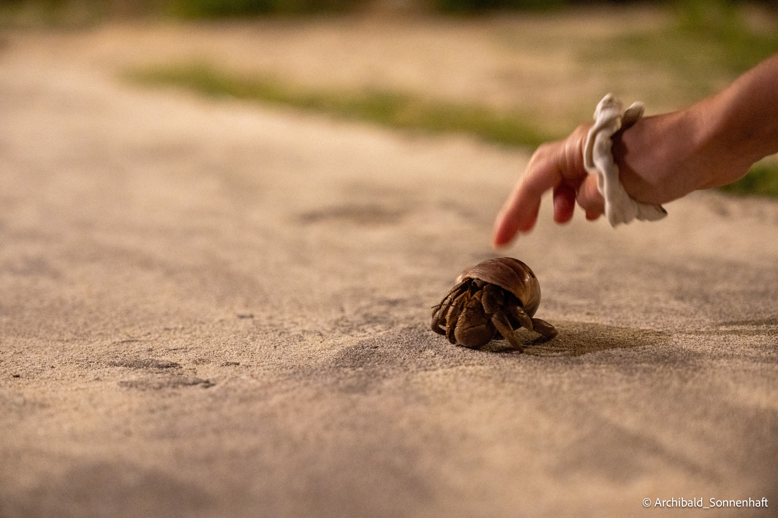 Thai Phuket to Phiphi. Photographer in Guangzhou, China. Archibald Sonnenhaft