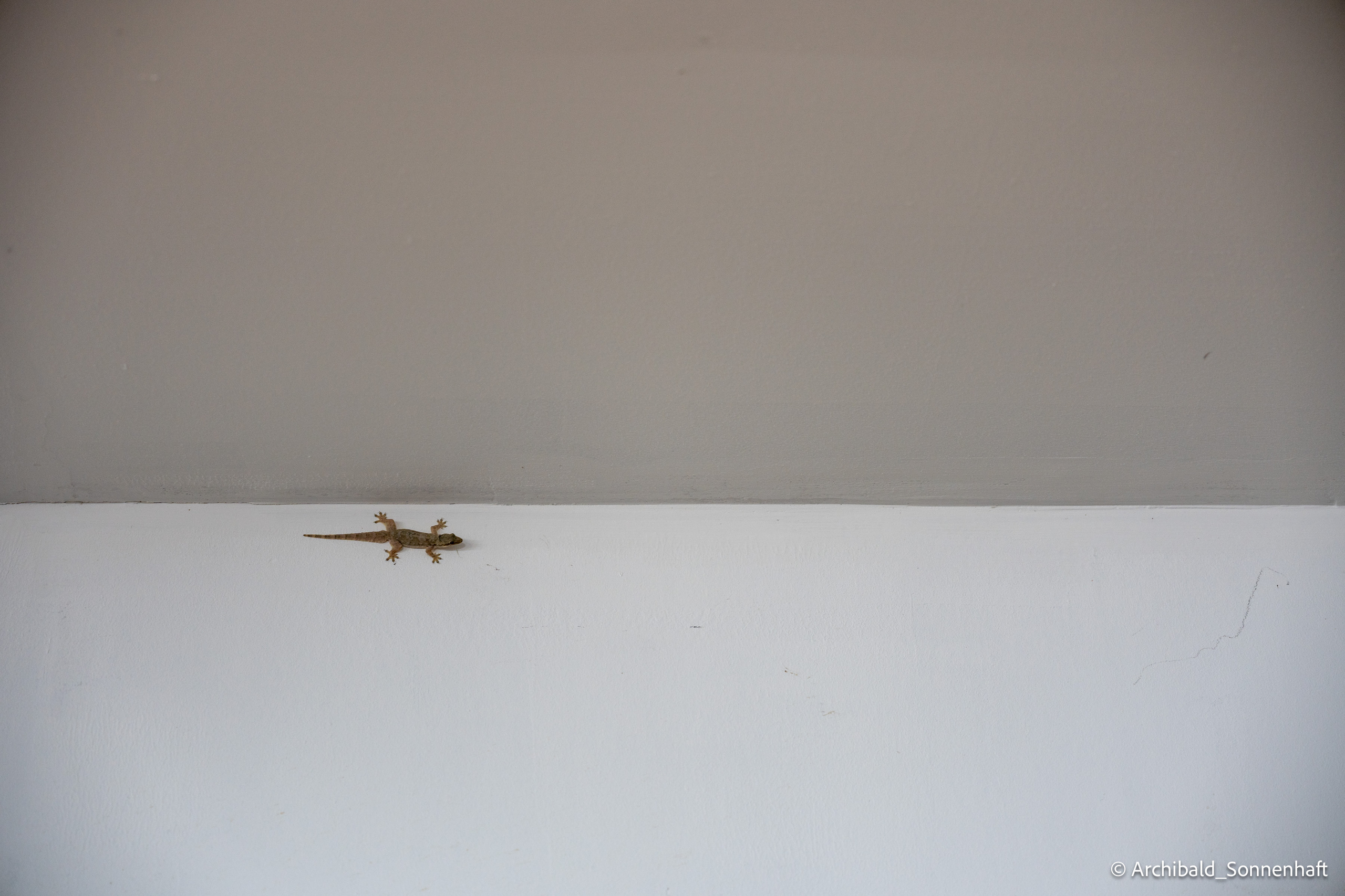 Thai Phuket to Phiphi. Photographer in Guangzhou, China. Archibald Sonnenhaft