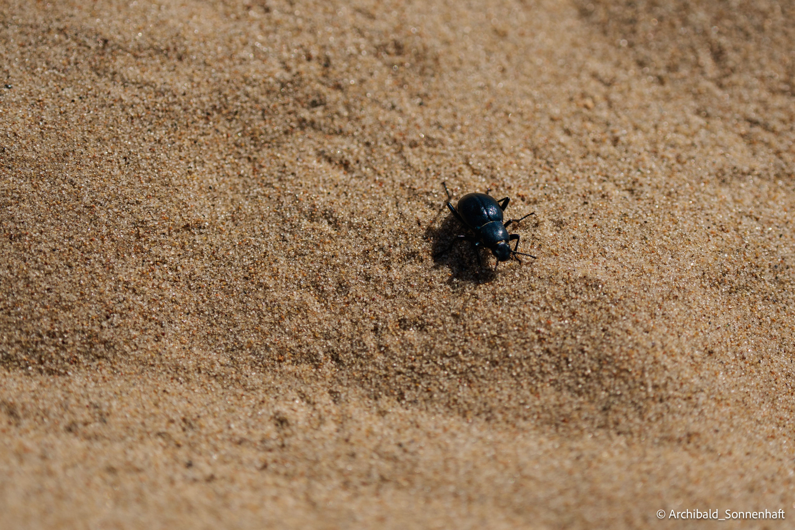 Inner Mongolia, Yulongsha. Photographer in Guangzhou, China. Archibald Sonnenhaft