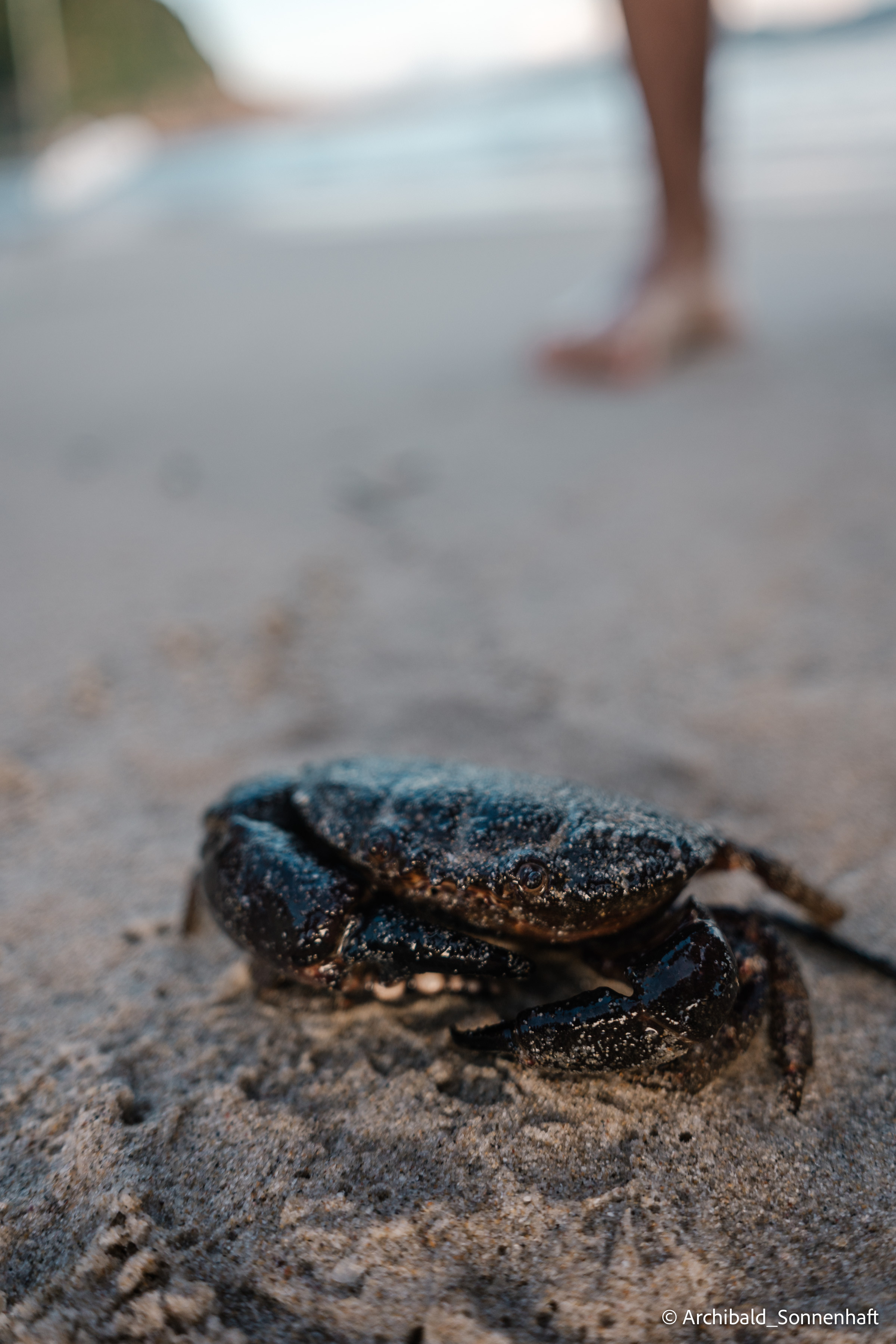 Dongchong. Photographer in Guangzhou, China. Archibald Sonnenhaft