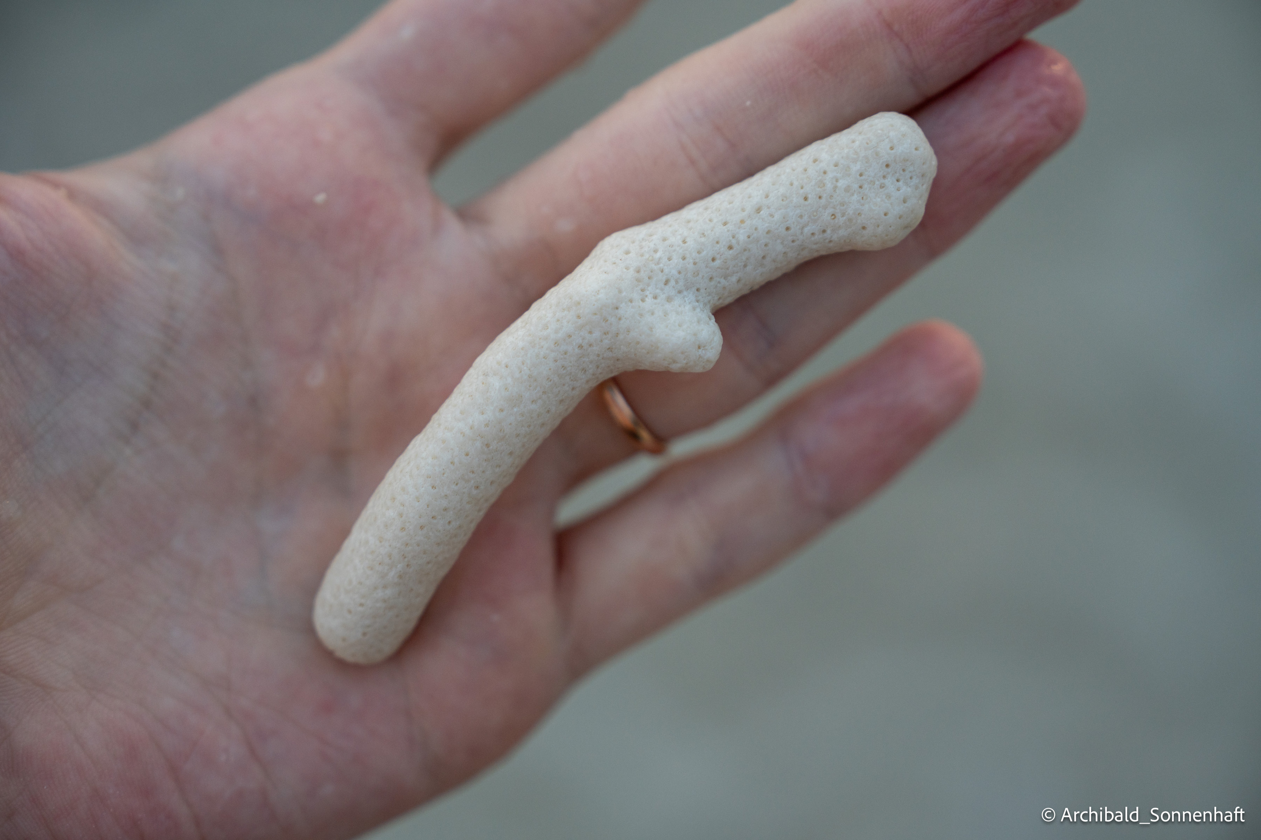 Thai Phuket to Phiphi. Photographer in Guangzhou, China. Archibald Sonnenhaft