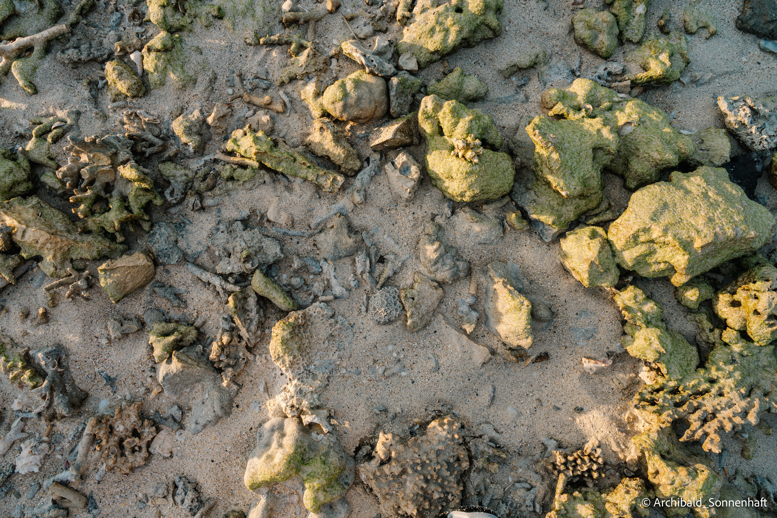 Thai, Phiphi. Photographer in Guangzhou, China. Archibald Sonnenhaft