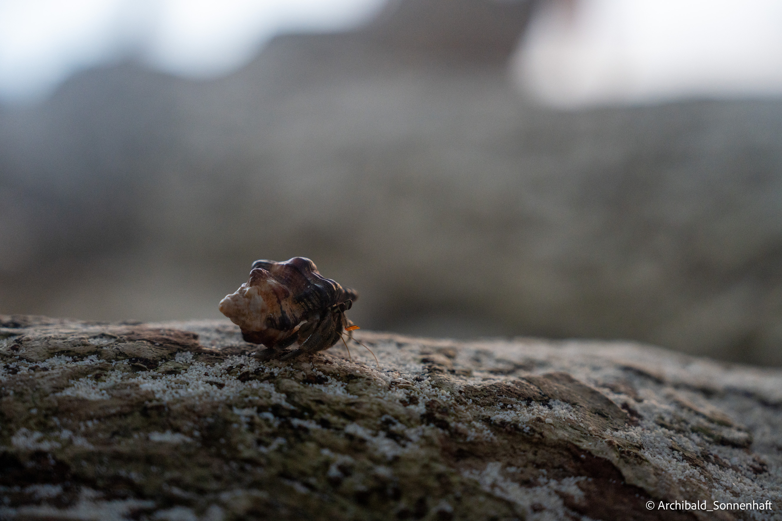 Thai Phuket to Phiphi. Photographer in Guangzhou, China. Archibald Sonnenhaft