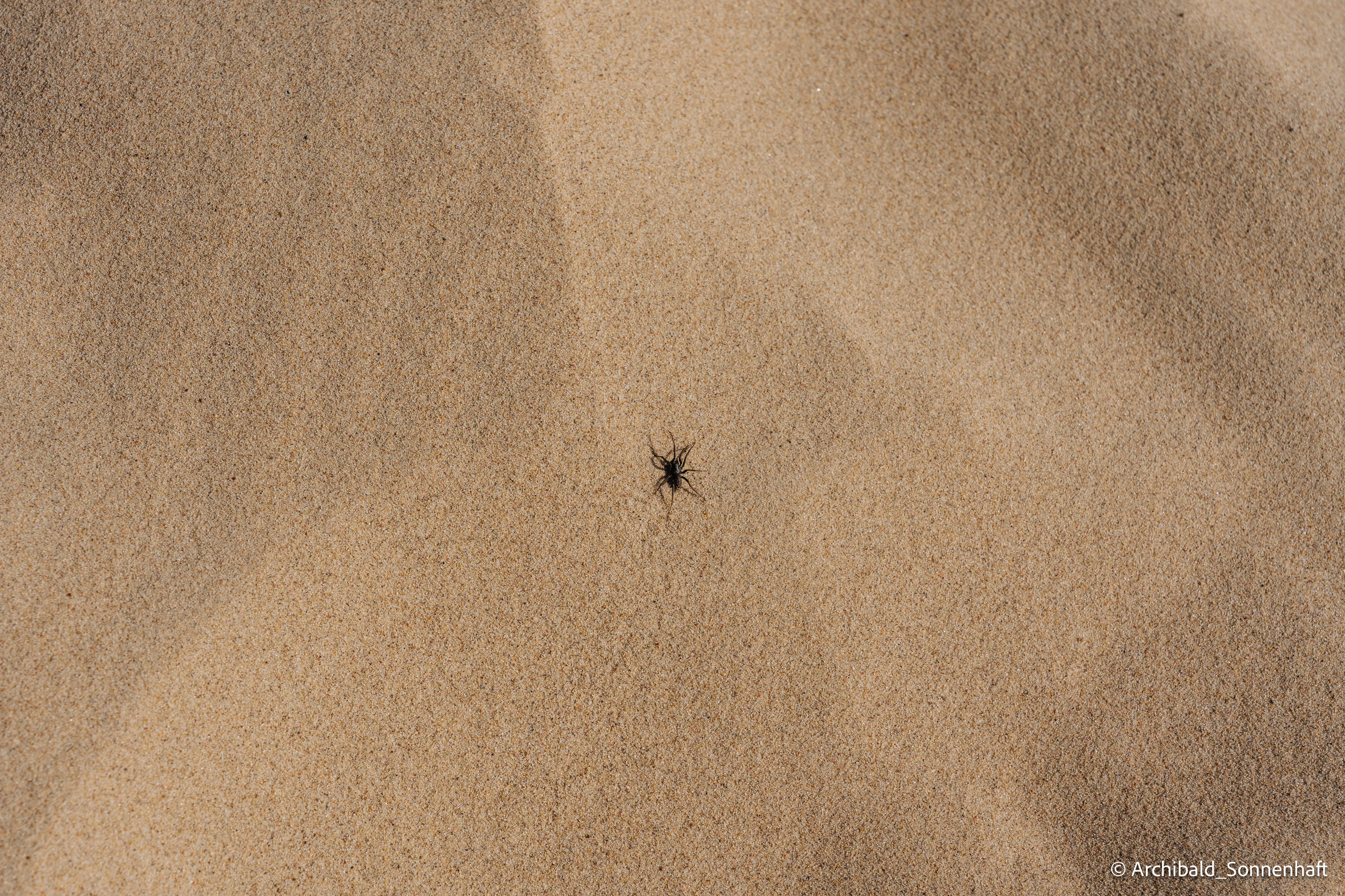 Inner Mongolia, Yulongsha. Photographer in Guangzhou, China. Archibald Sonnenhaft