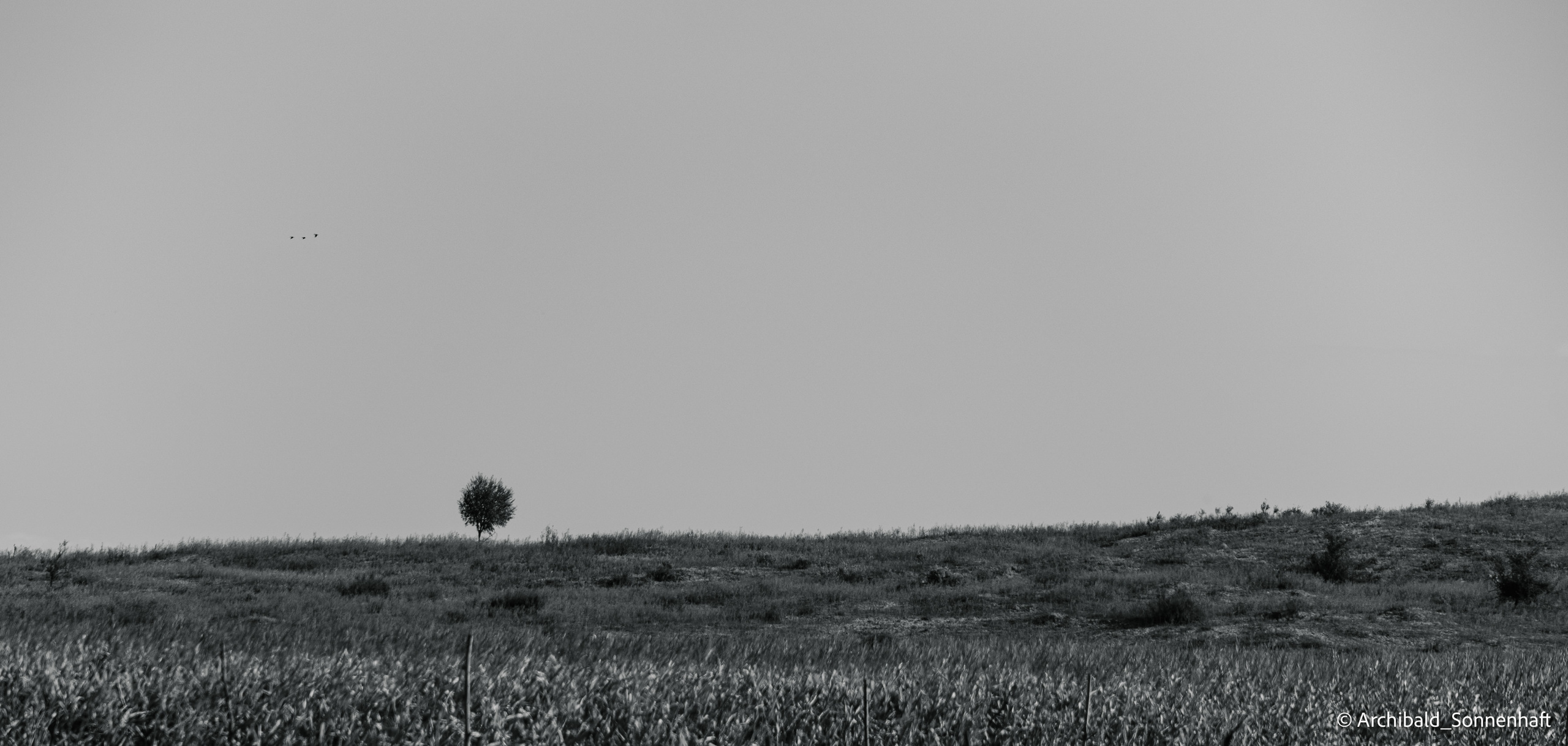 Inner Mongolia, Yulongsha. Photographer in Guangzhou, China. Archibald Sonnenhaft