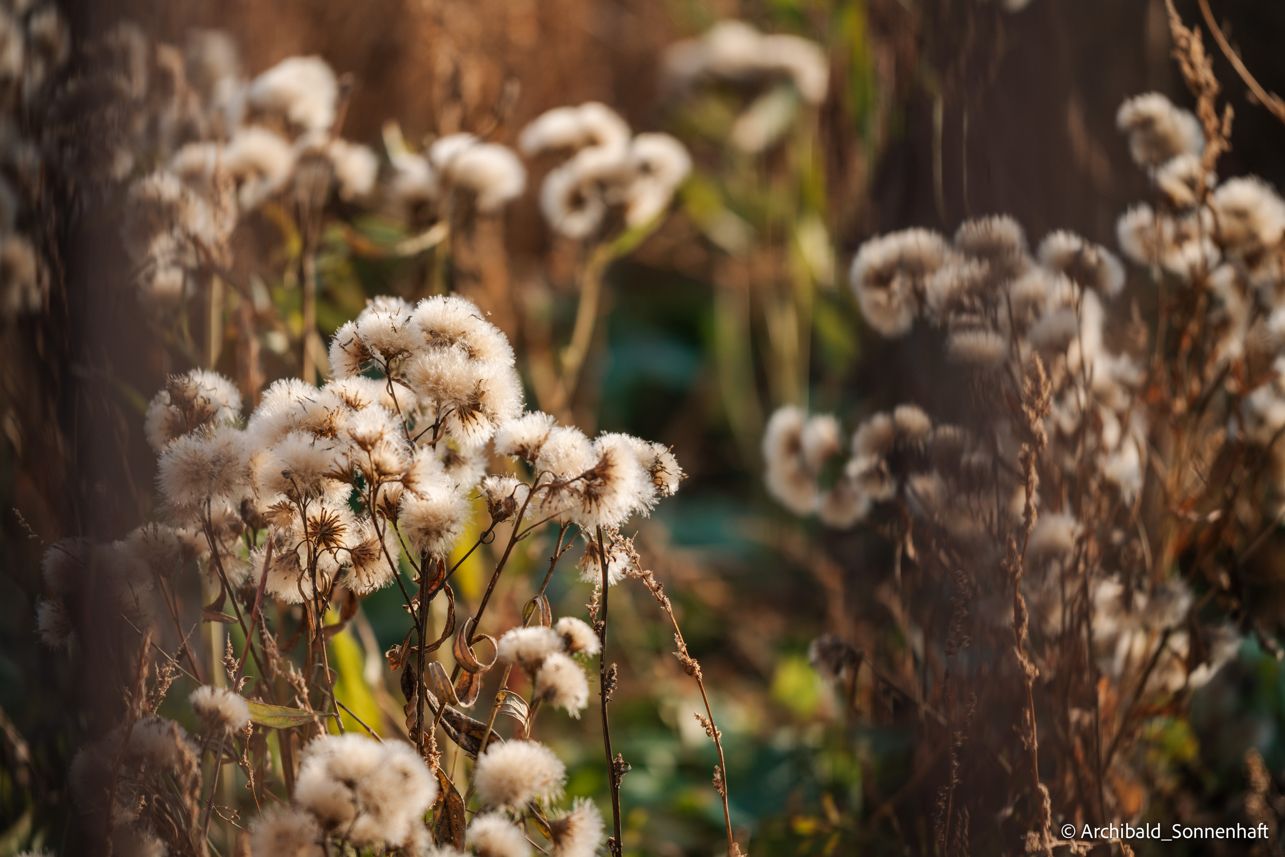 Inner Mongolia. Photographer in Guangzhou, China. Archibald Sonnenhaft