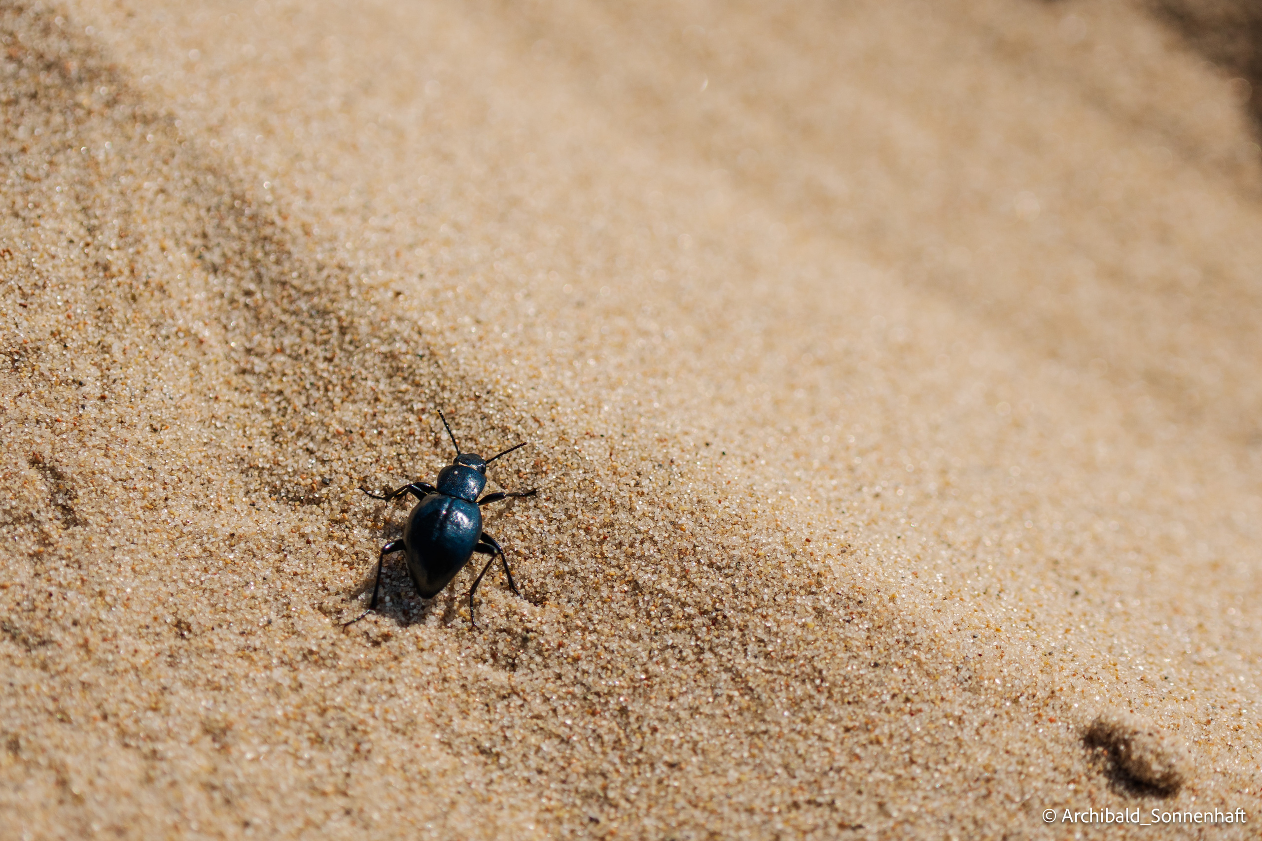 Inner Mongolia, Yulongsha. Photographer in Guangzhou, China. Archibald Sonnenhaft