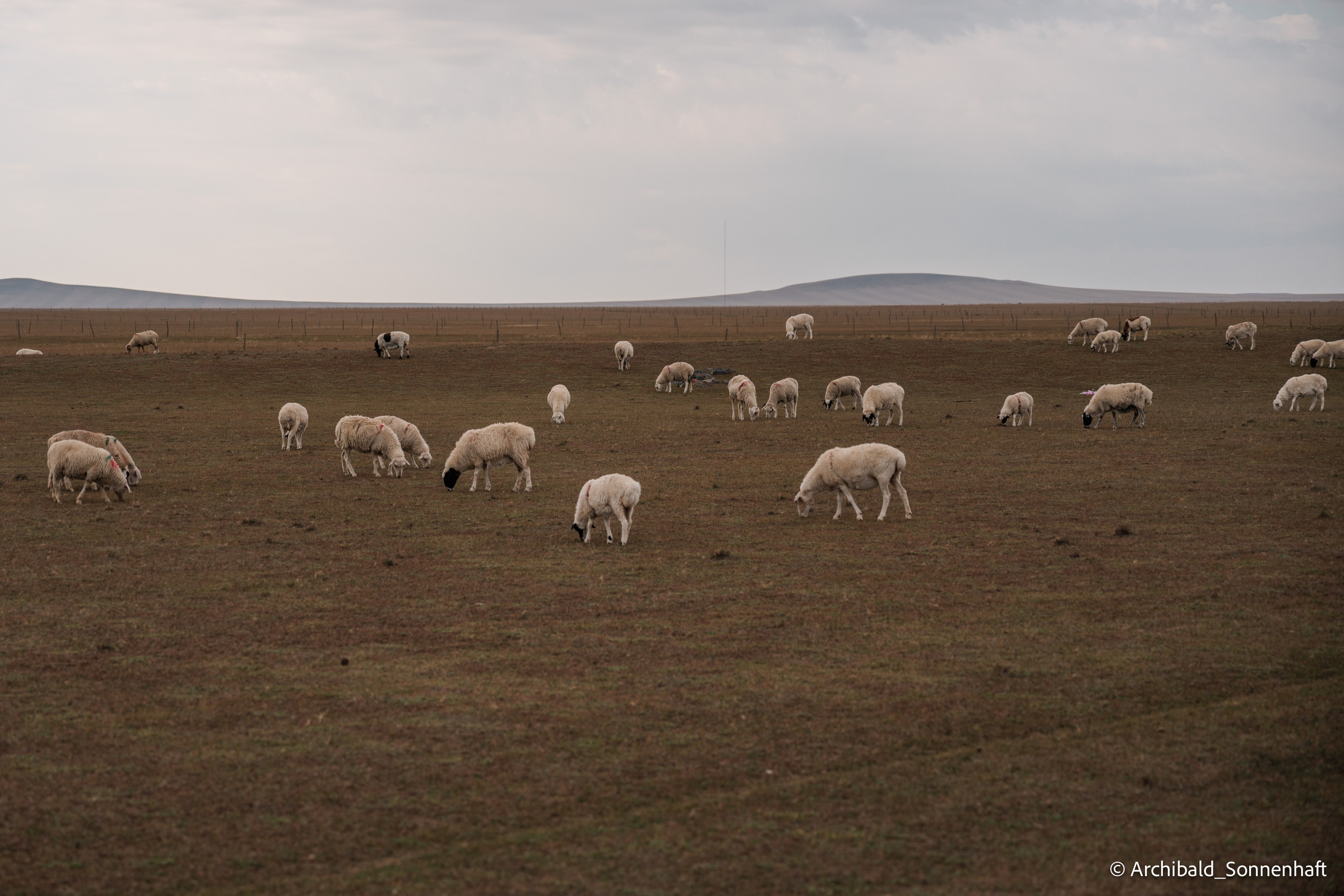 Inner Mongolia. Photographer in Guangzhou, China. Archibald Sonnenhaft