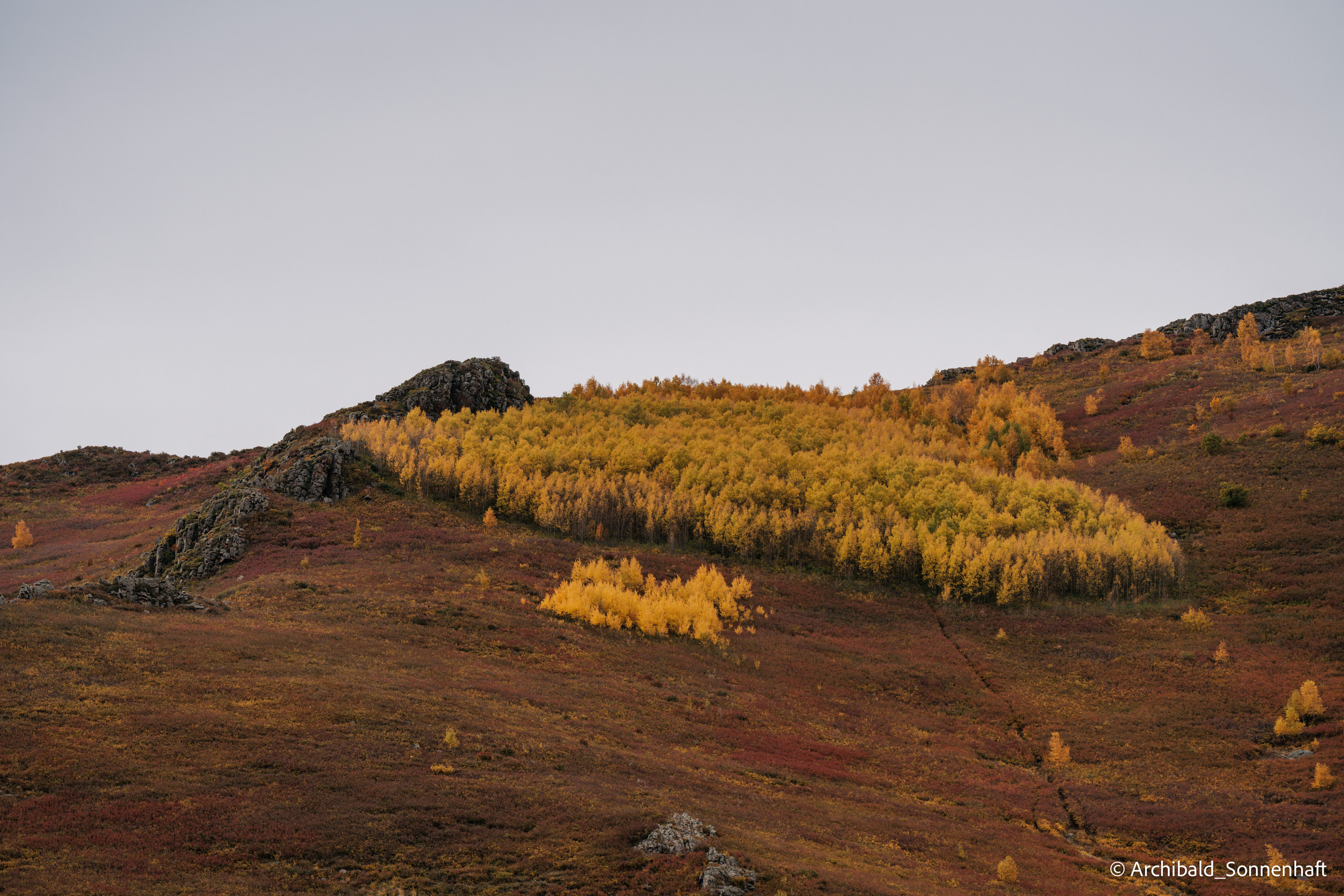 Inner Mongolia. Photographer in Guangzhou, China. Archibald Sonnenhaft