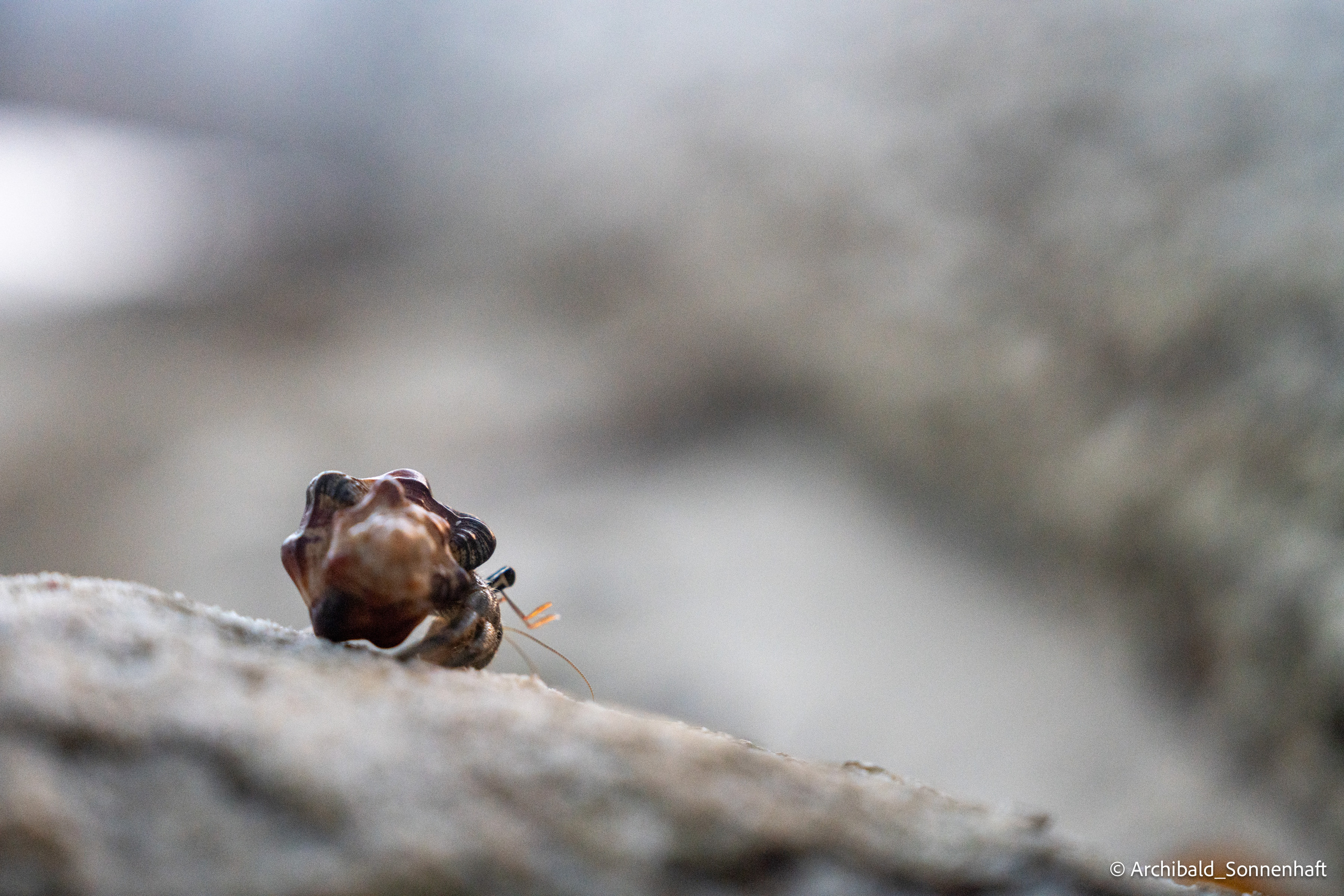 Thai Phuket to Phiphi. Photographer in Guangzhou, China. Archibald Sonnenhaft