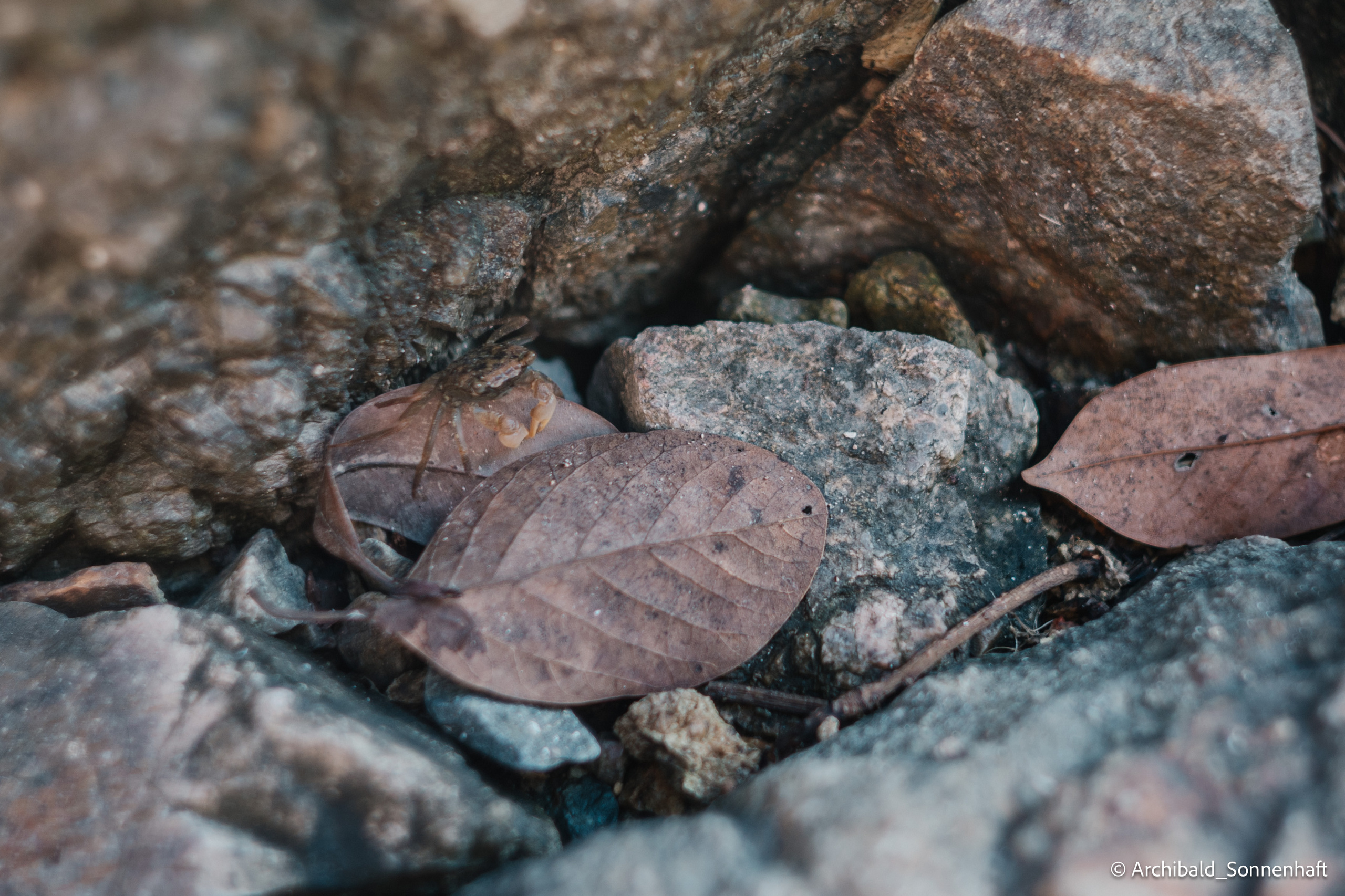 Dongchong. Photographer in Guangzhou, China. Archibald Sonnenhaft
