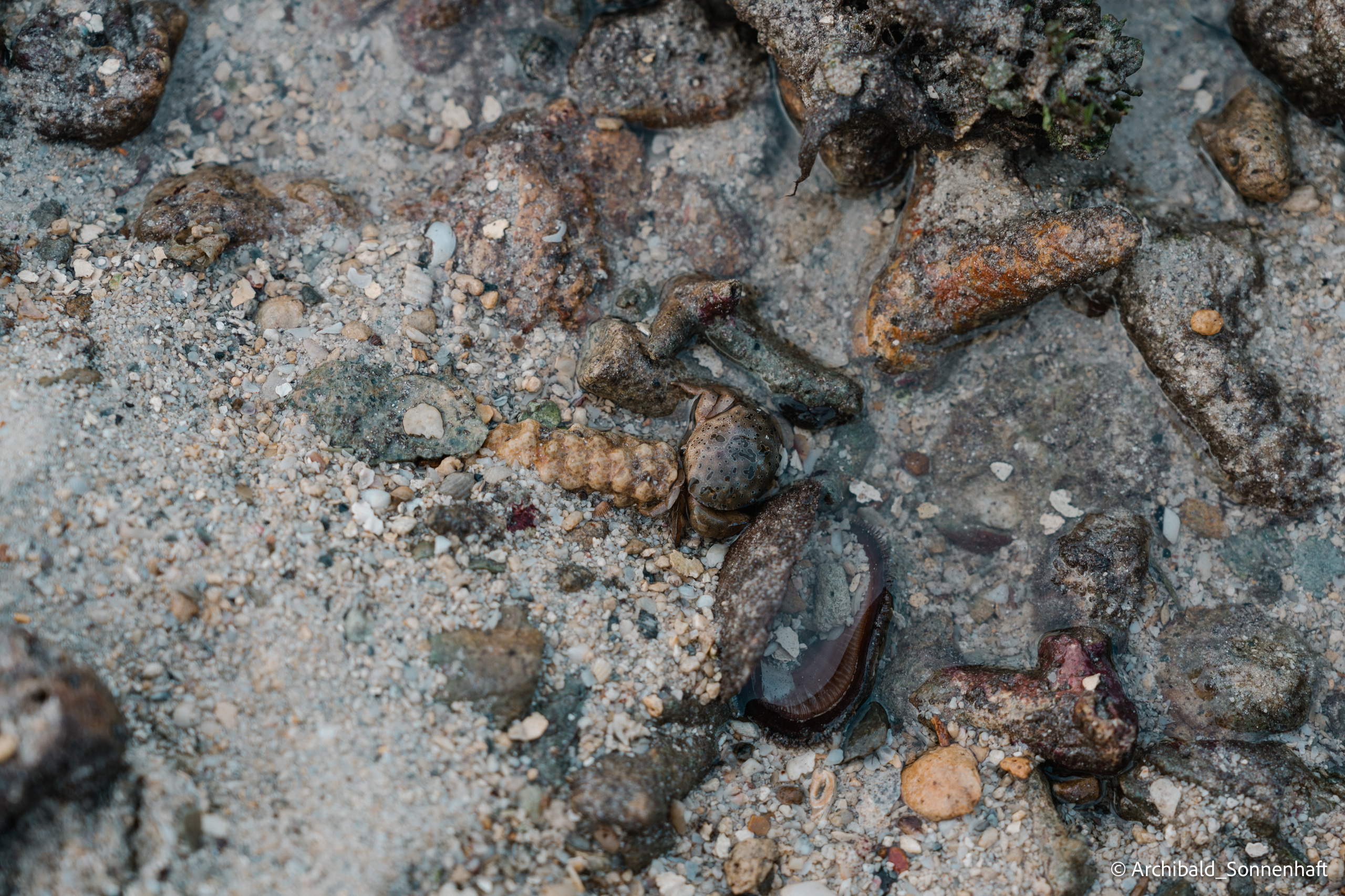 Thai, Phiphi. Photographer in Guangzhou, China. Archibald Sonnenhaft