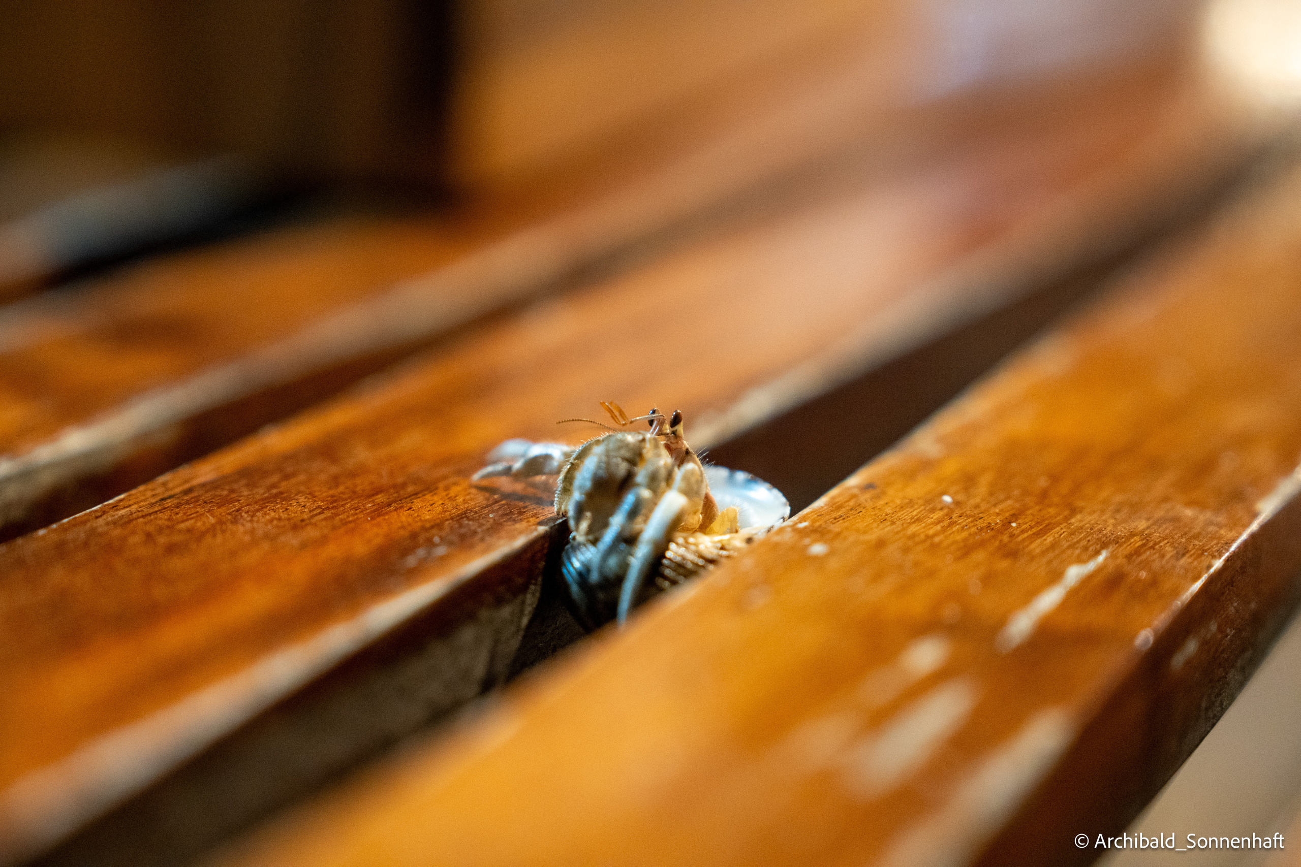 Thai Phuket to Phiphi. Photographer in Guangzhou, China. Archibald Sonnenhaft