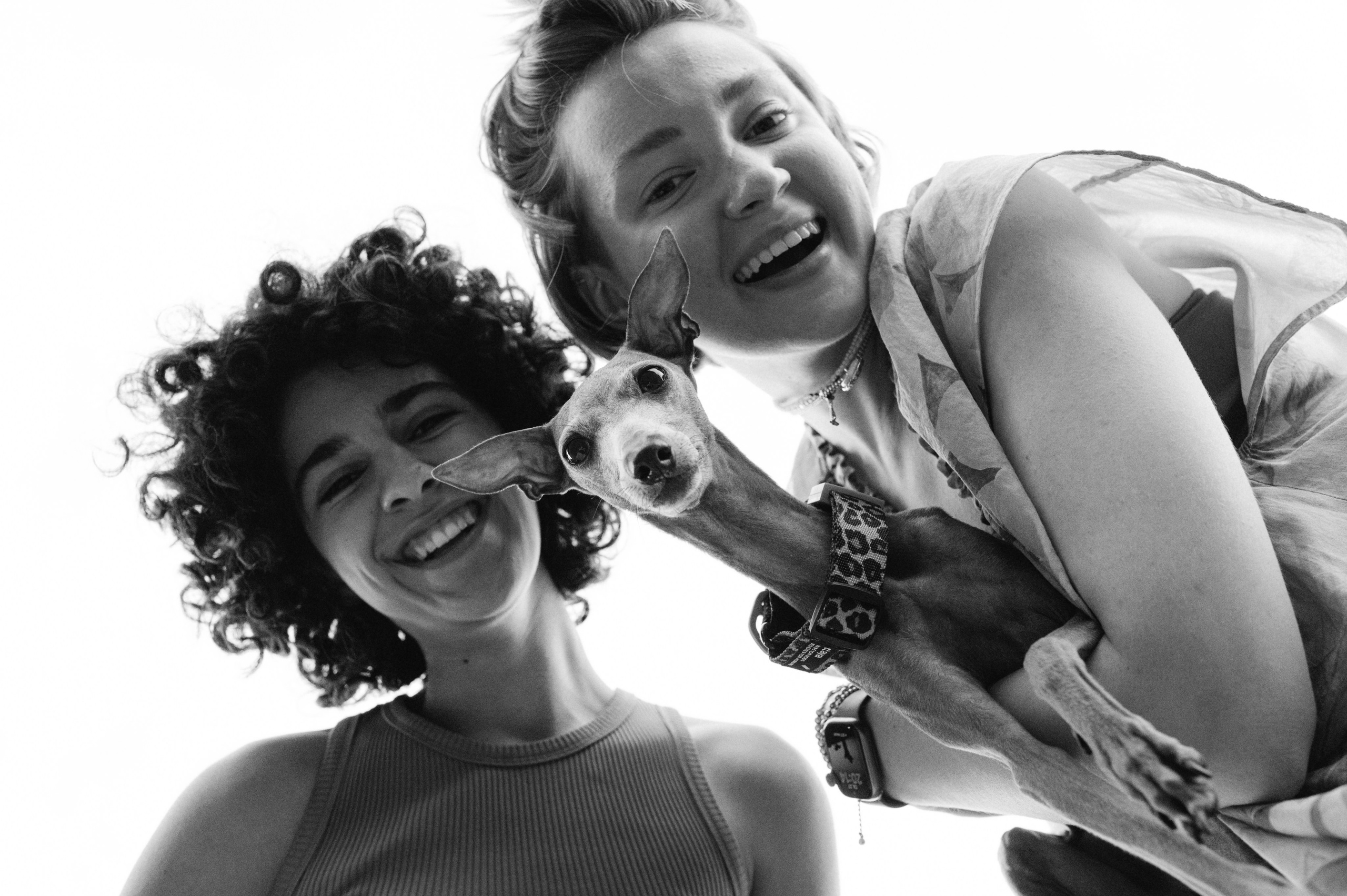 Хвост, смех и лучшие подруги. Фотограф анималист в Москве Ольга Агушева